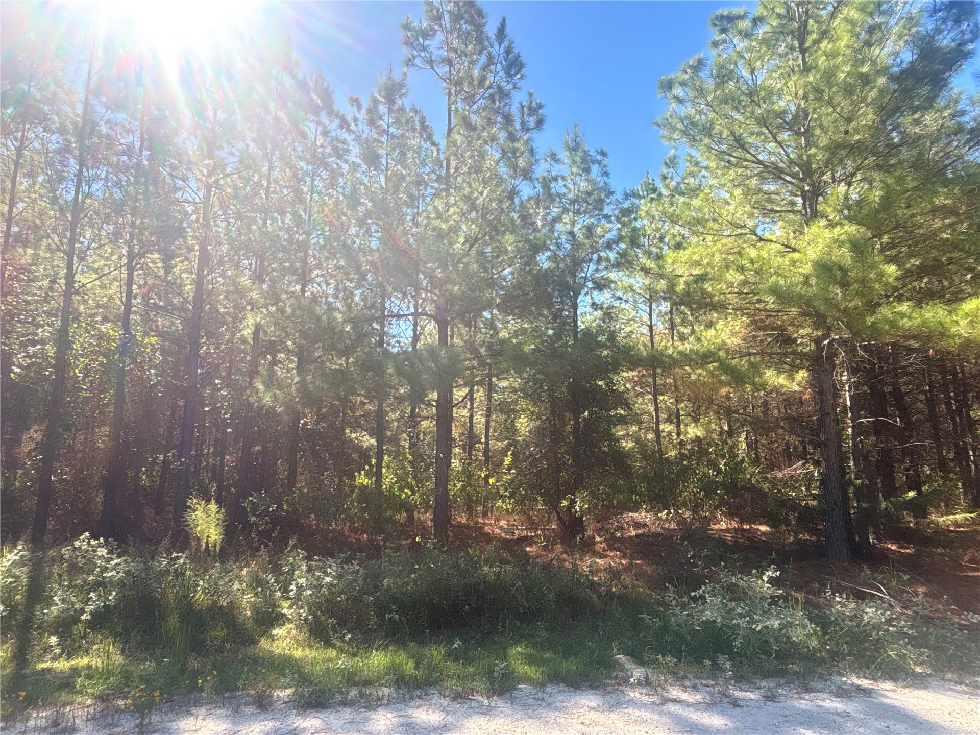 Overcup Acorn Trail Broken Bow OK 74728