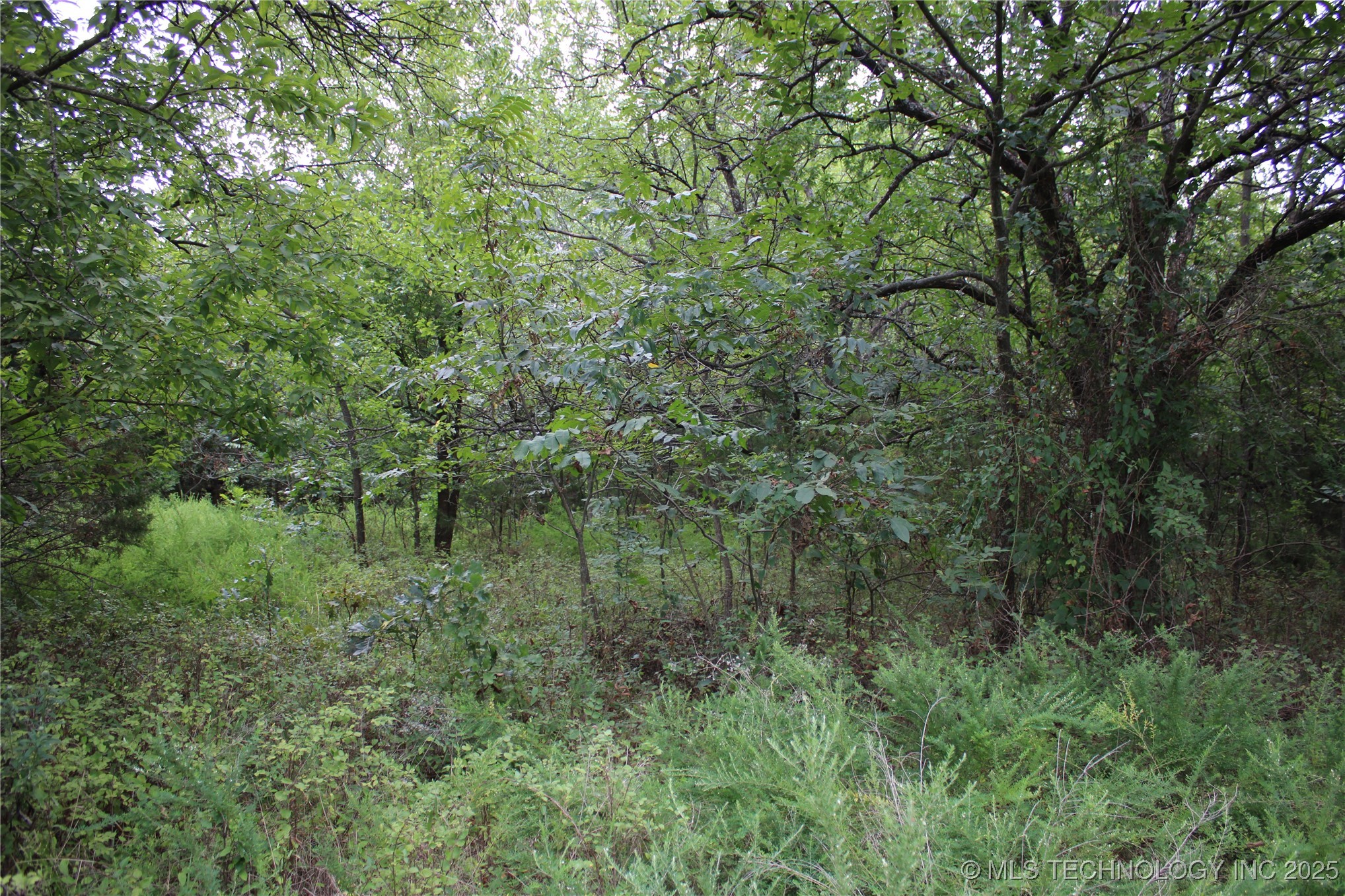 0000 W 1300 Road Dewey OK 74029