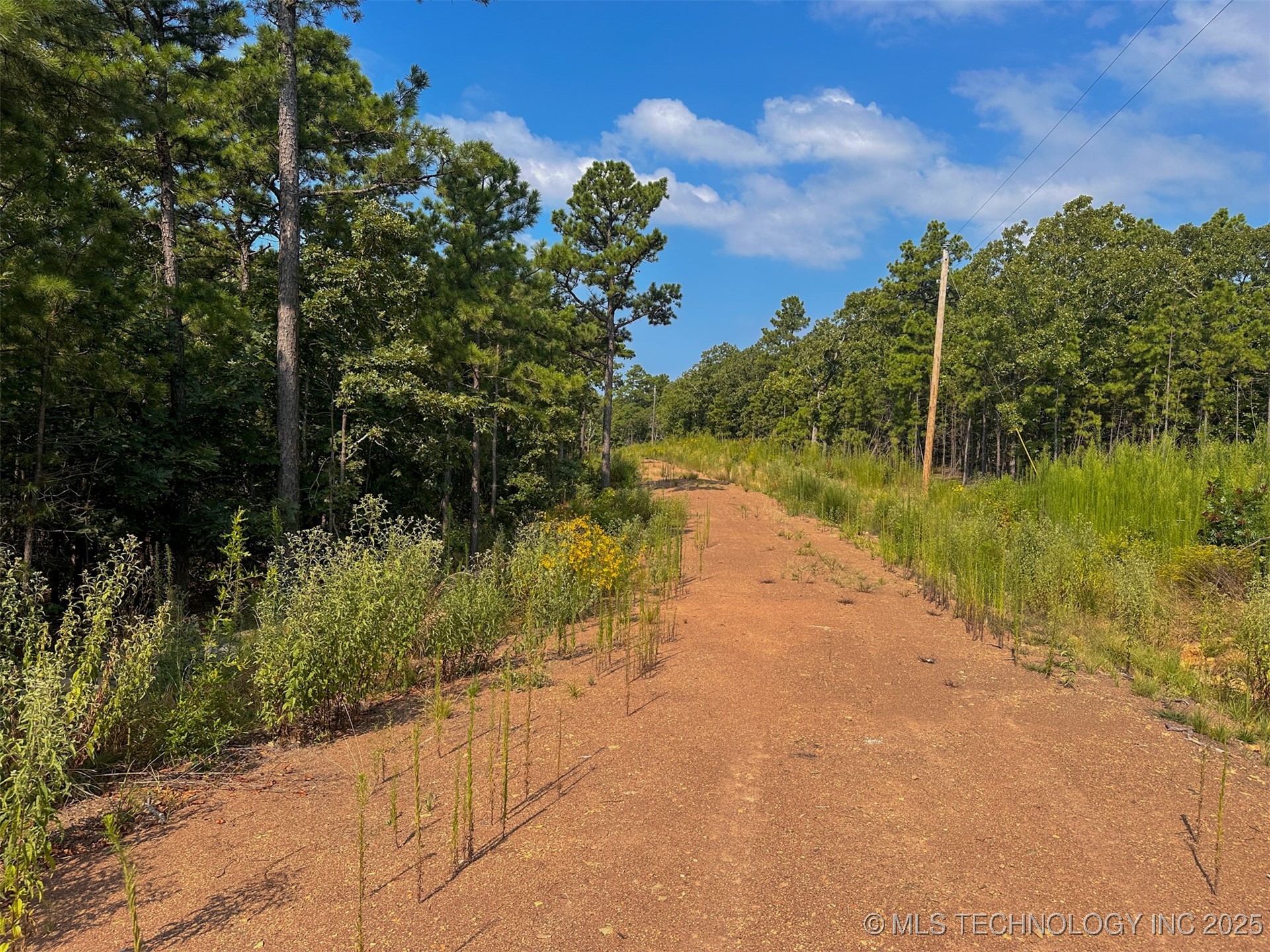 12 Moonshine Drive Clayton OK 74536