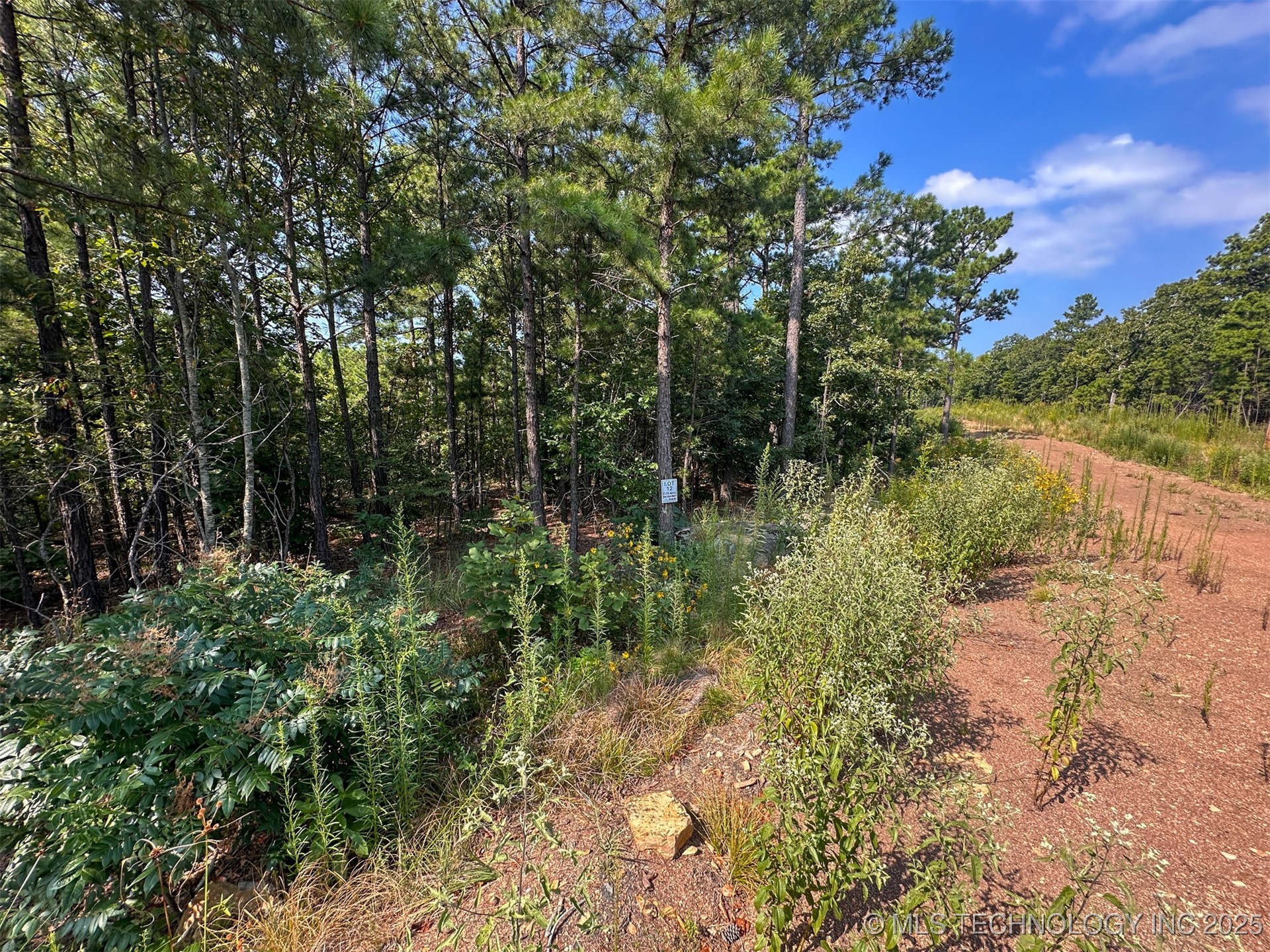 12 Moonshine Drive Clayton OK 74536