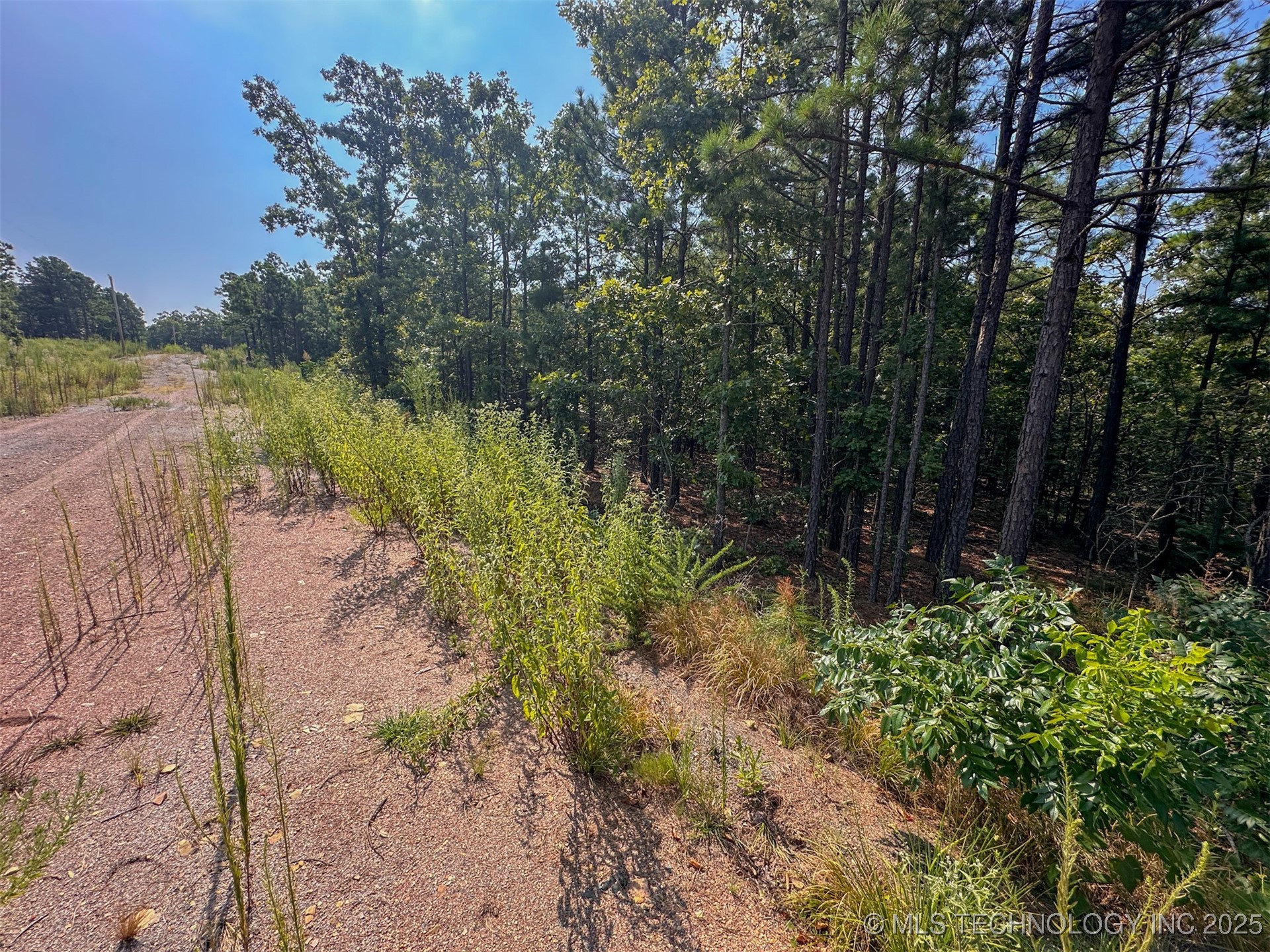 12 Moonshine Drive Clayton OK 74536