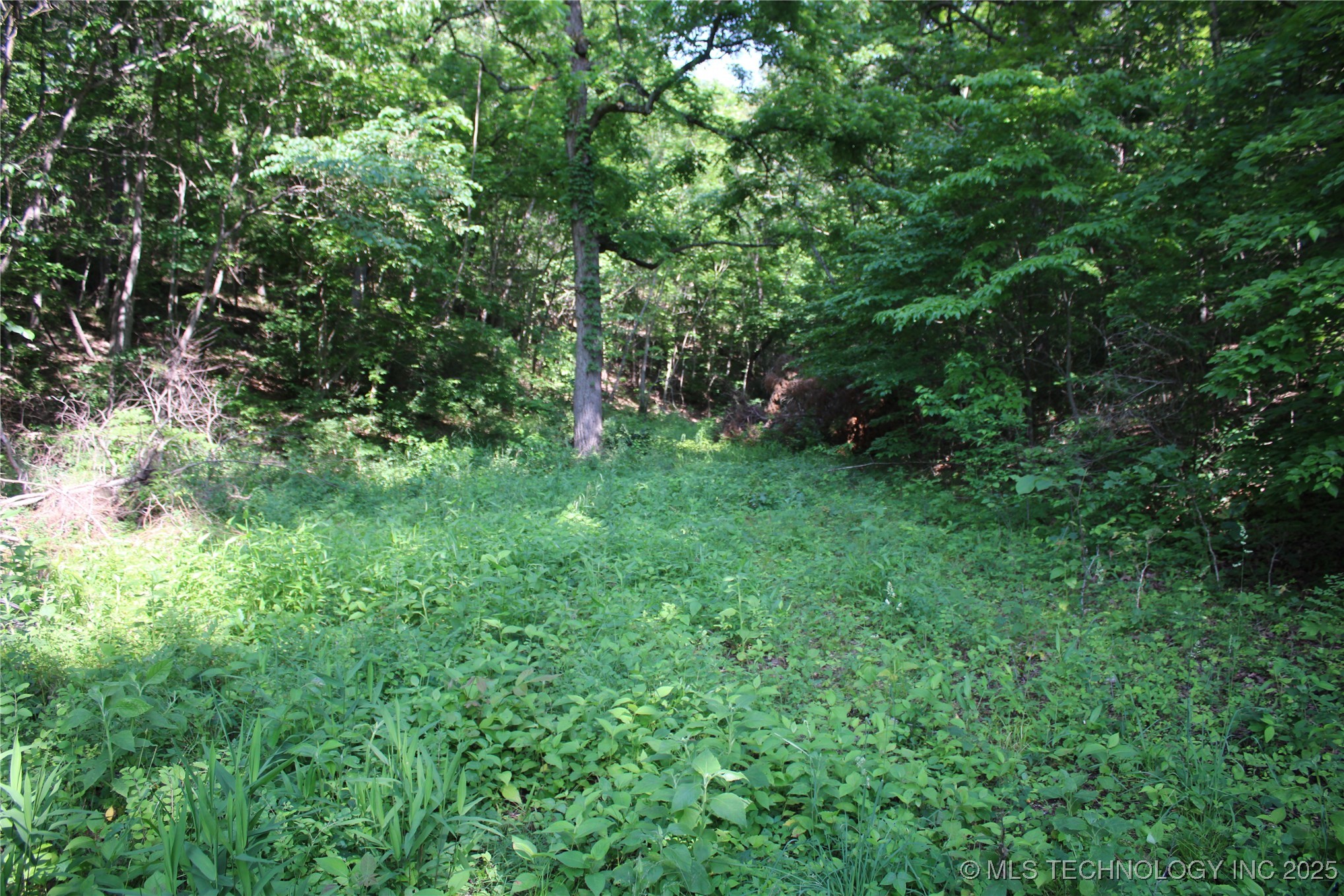 0000 S 602 Road Jay OK 74342