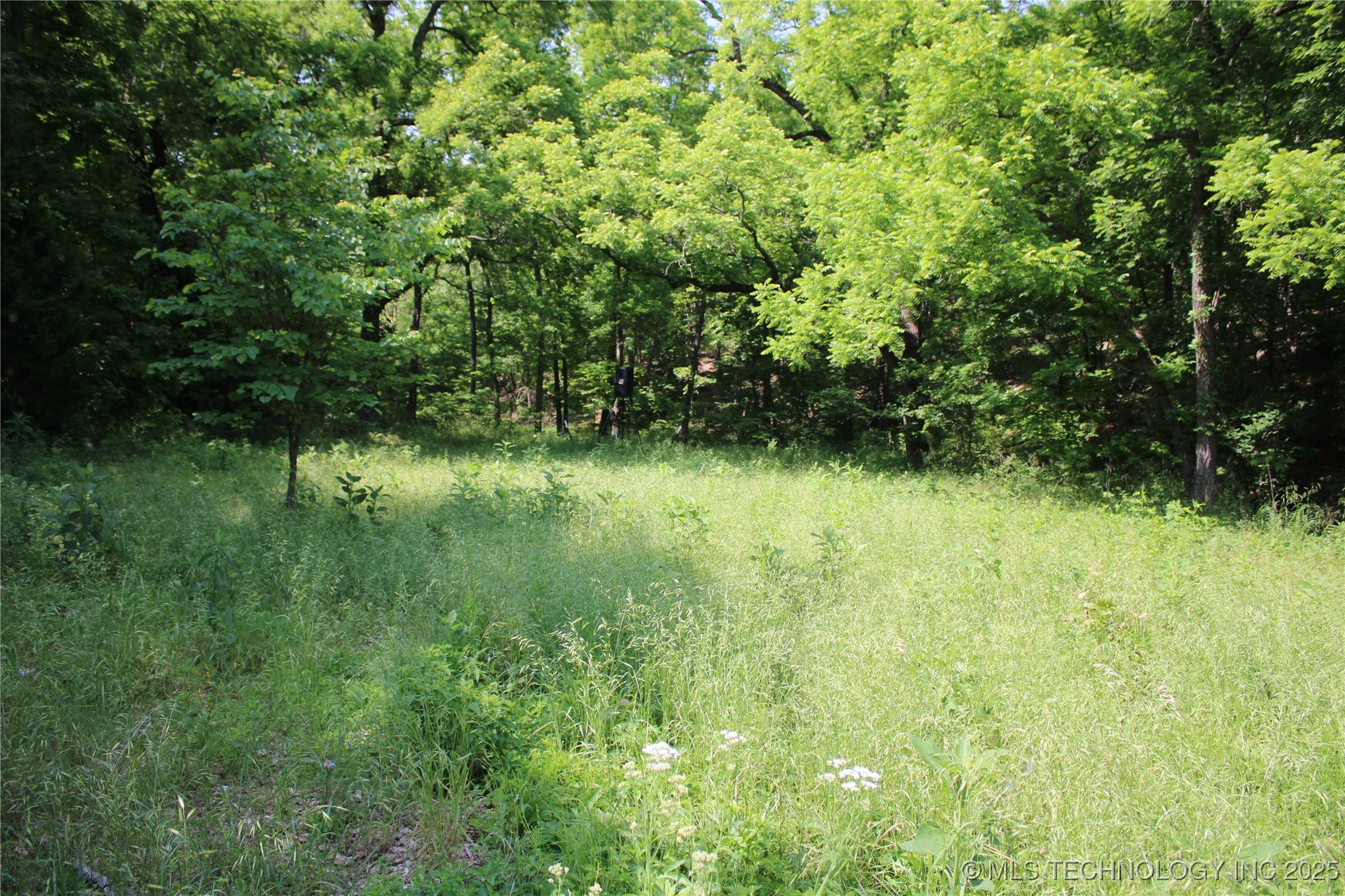 0000 S 602 Road Jay OK 74342