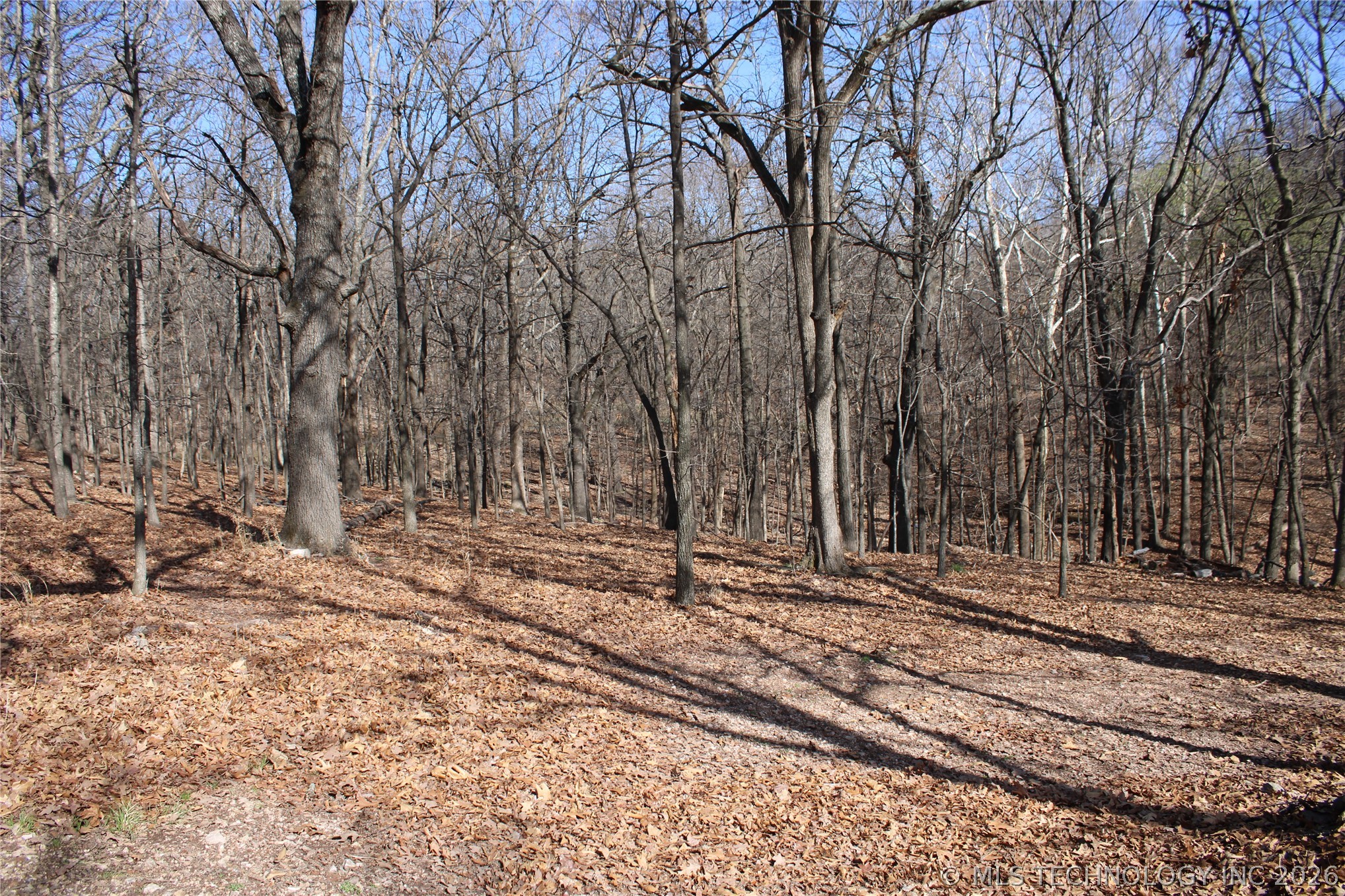 0000 Ridge Road Afton OK 74331