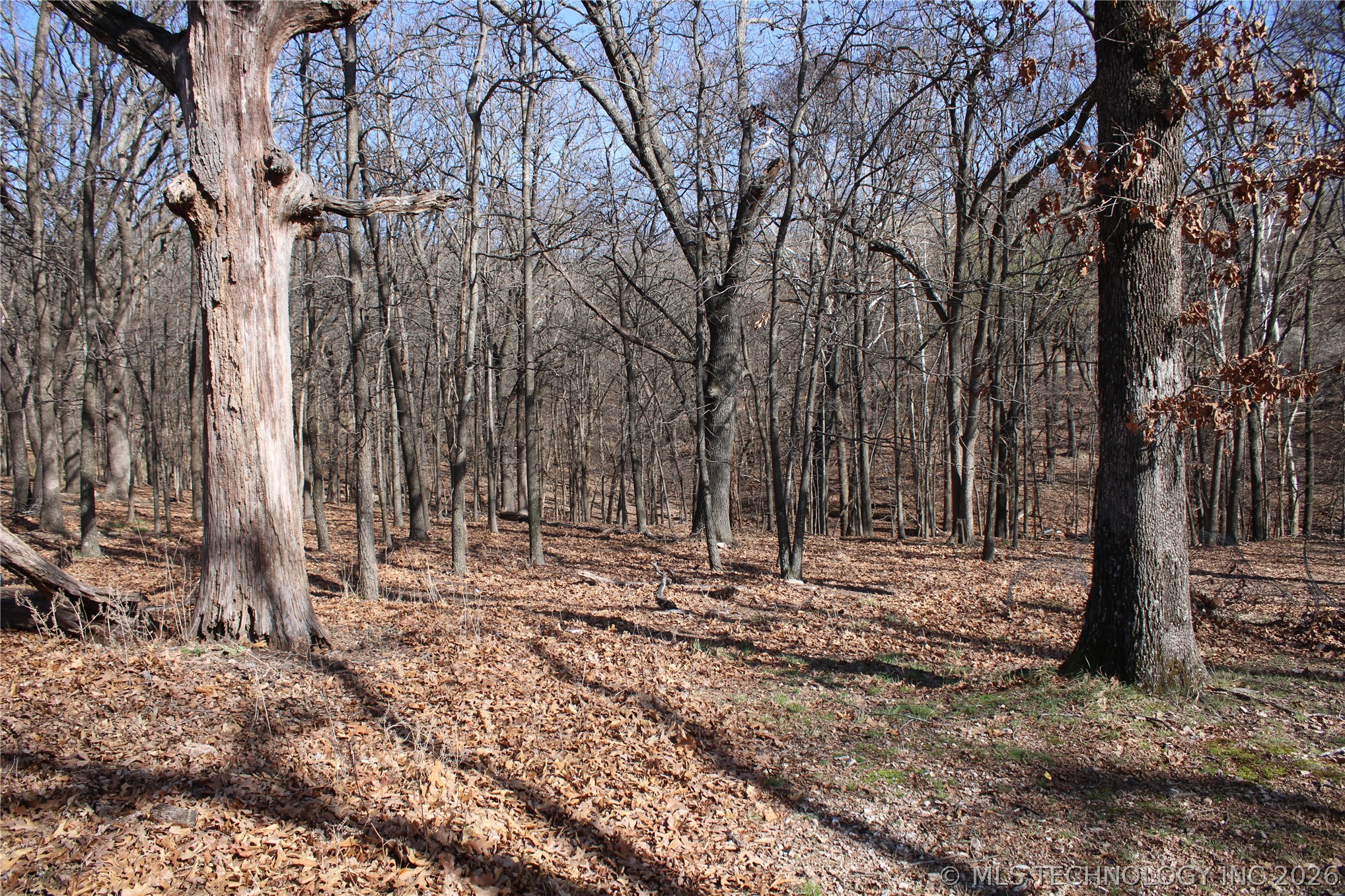 0000 Ridge Road Afton OK 74331