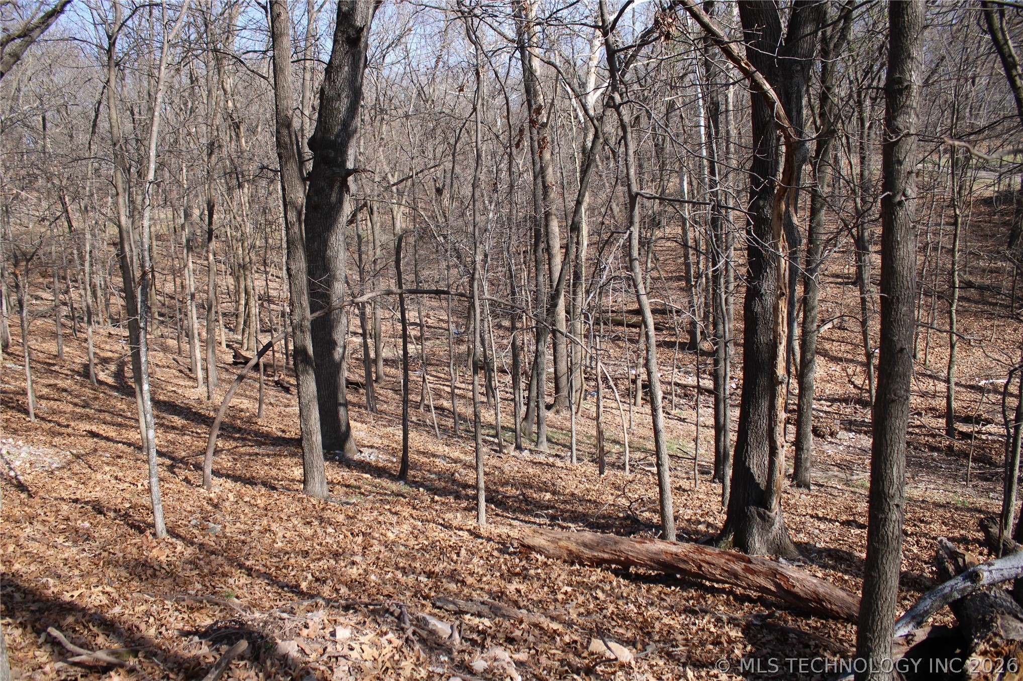 0000 Ridge Road Afton OK 74331