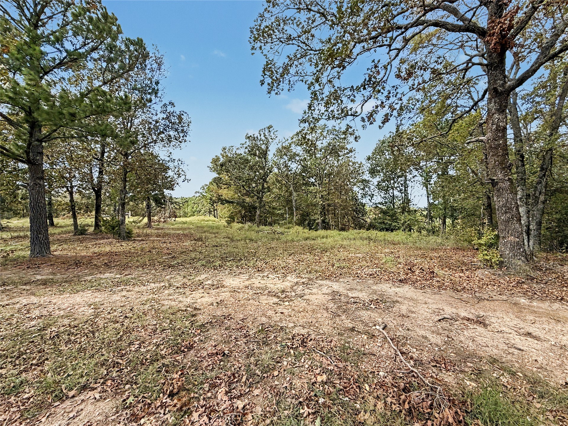 22500 S 573 Road Welling OK 74471