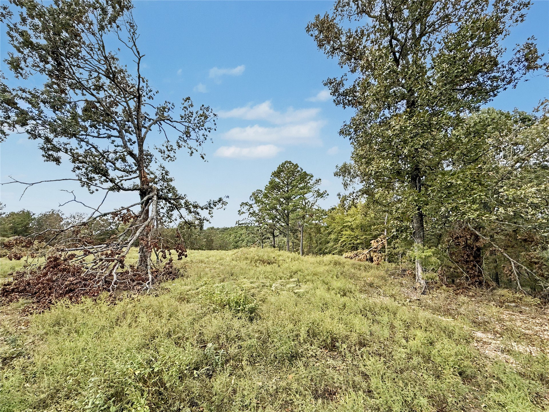 22500 S 573 Road Welling OK 74471