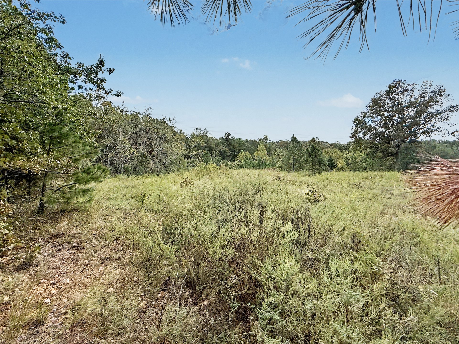 22500 S 573 Road Welling OK 74471