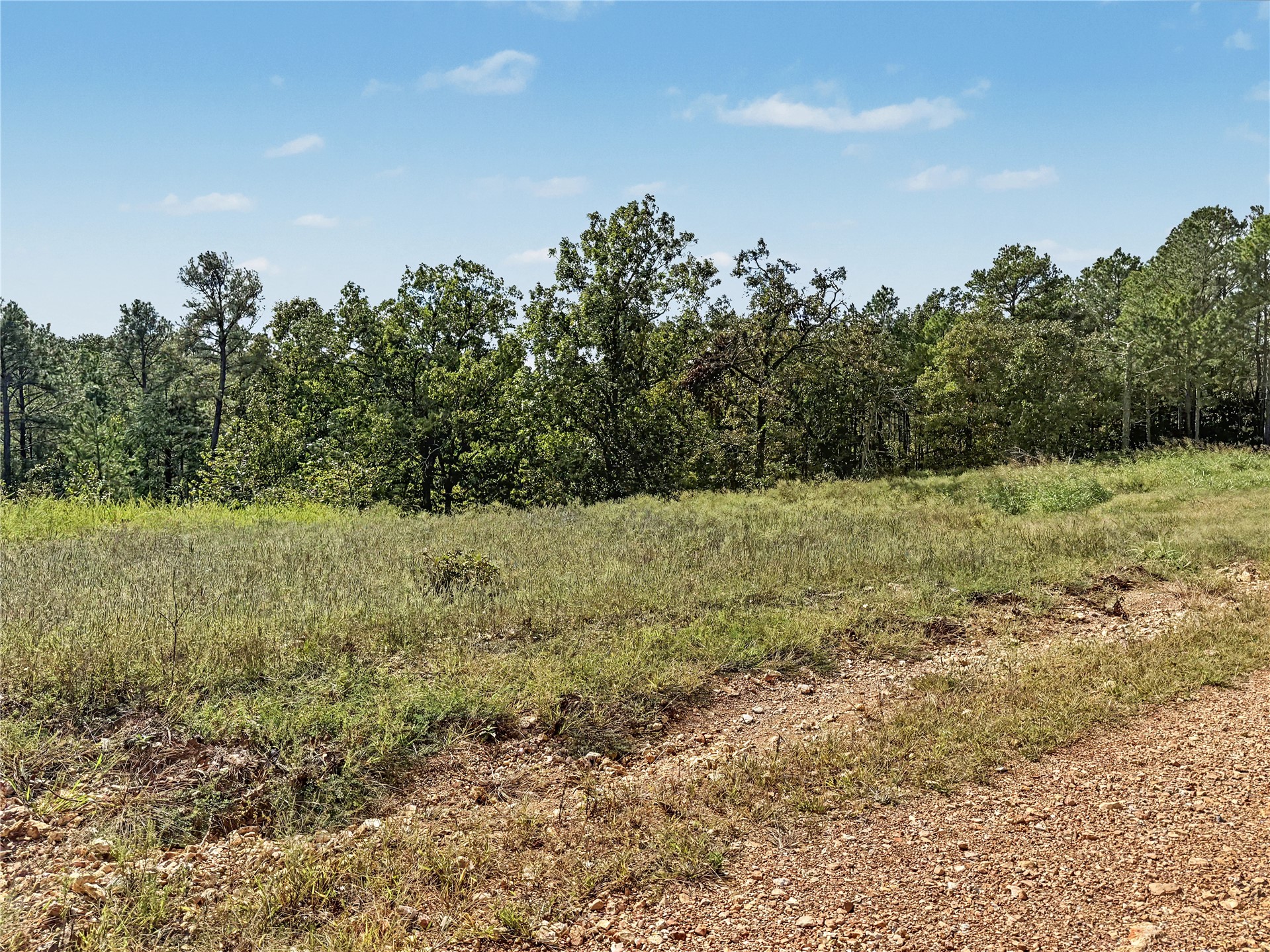 22500 S 573 Road Welling OK 74471