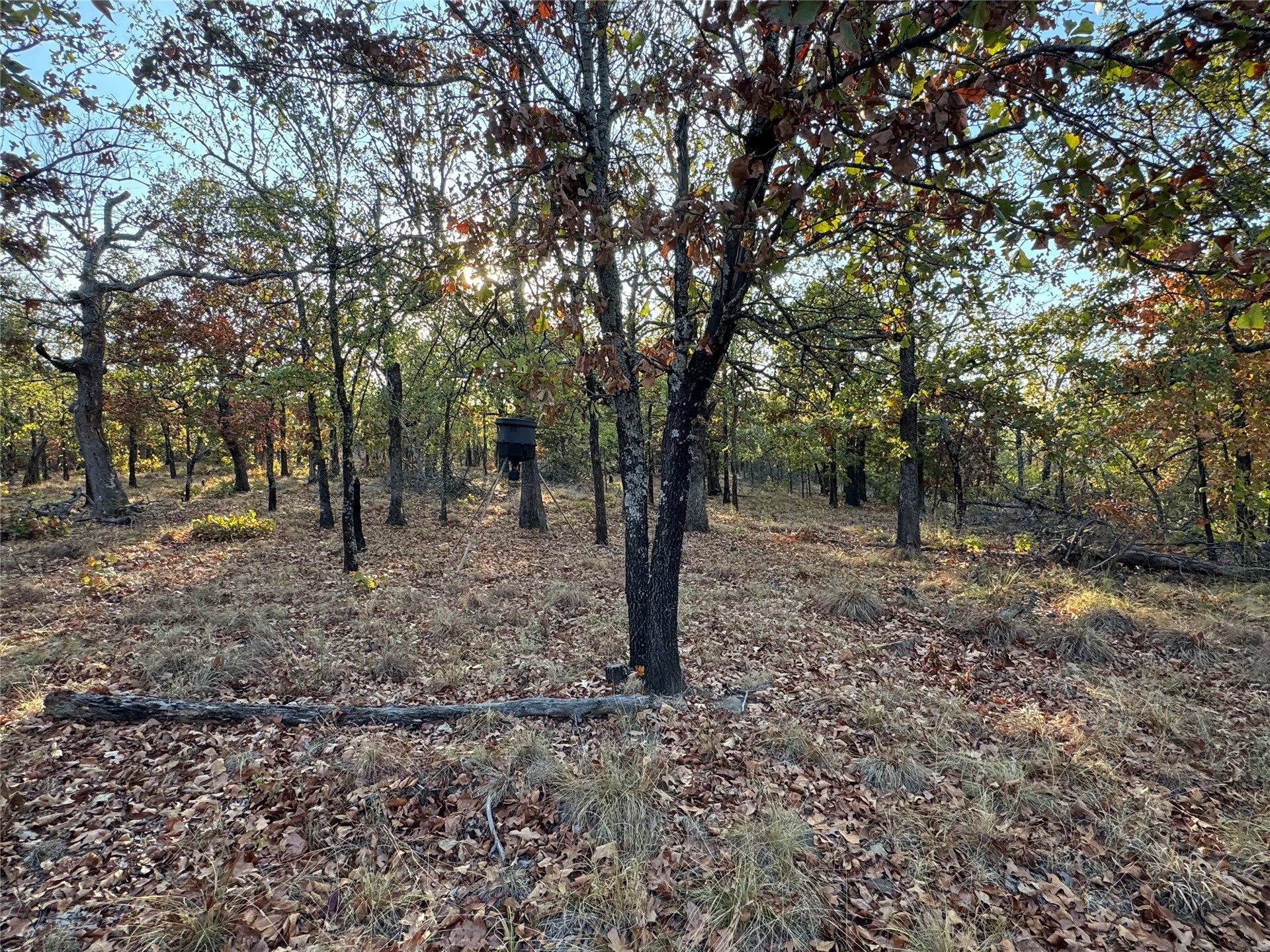 0 Shuman Mcalester OK 74501