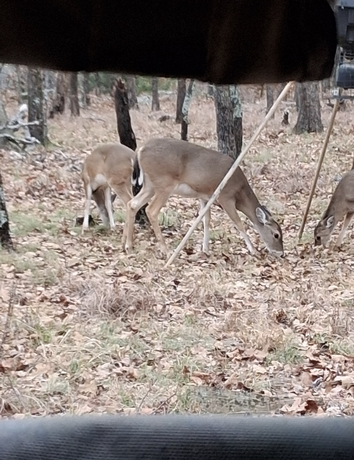 0 Shuman Mcalester OK 74501