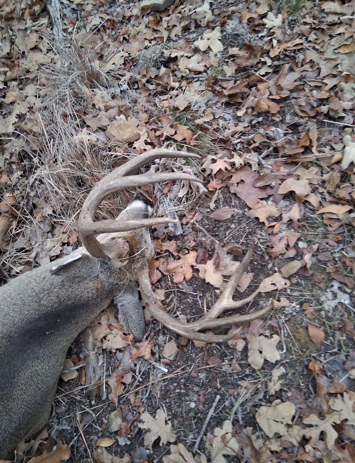 0 Shuman Mcalester OK 74501