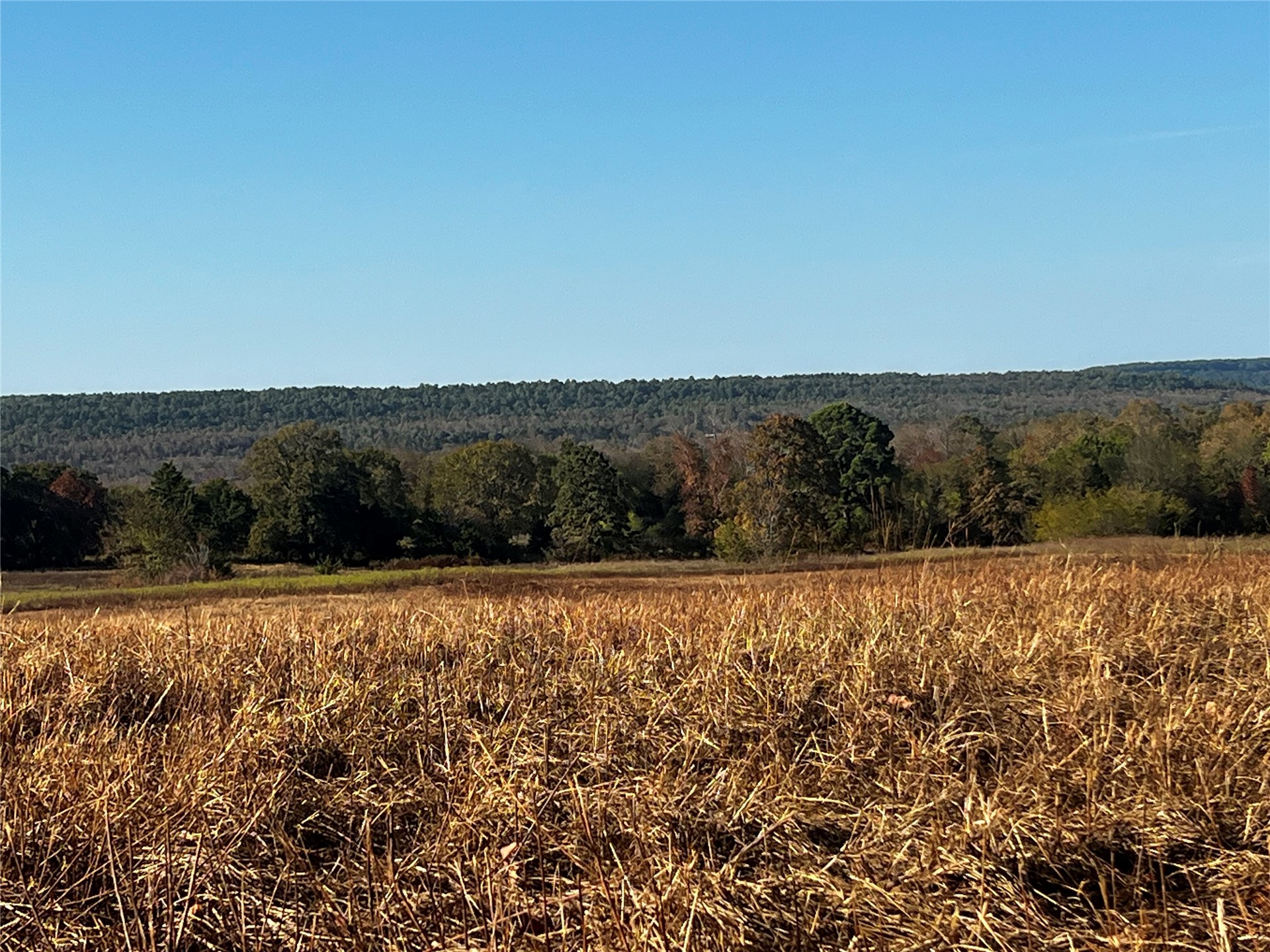 State Hwy 2 Highway Moyers OK 74557