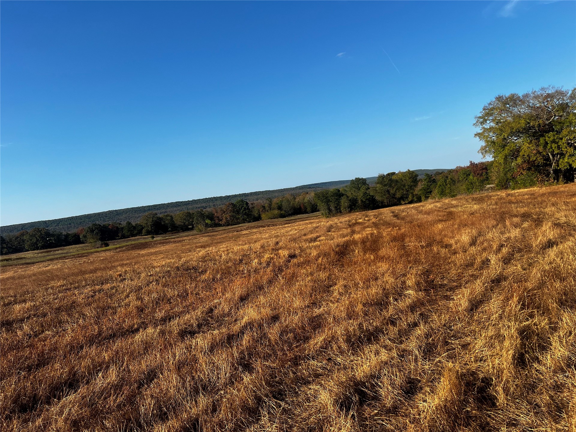 State Hwy 2 Highway Moyers OK 74557