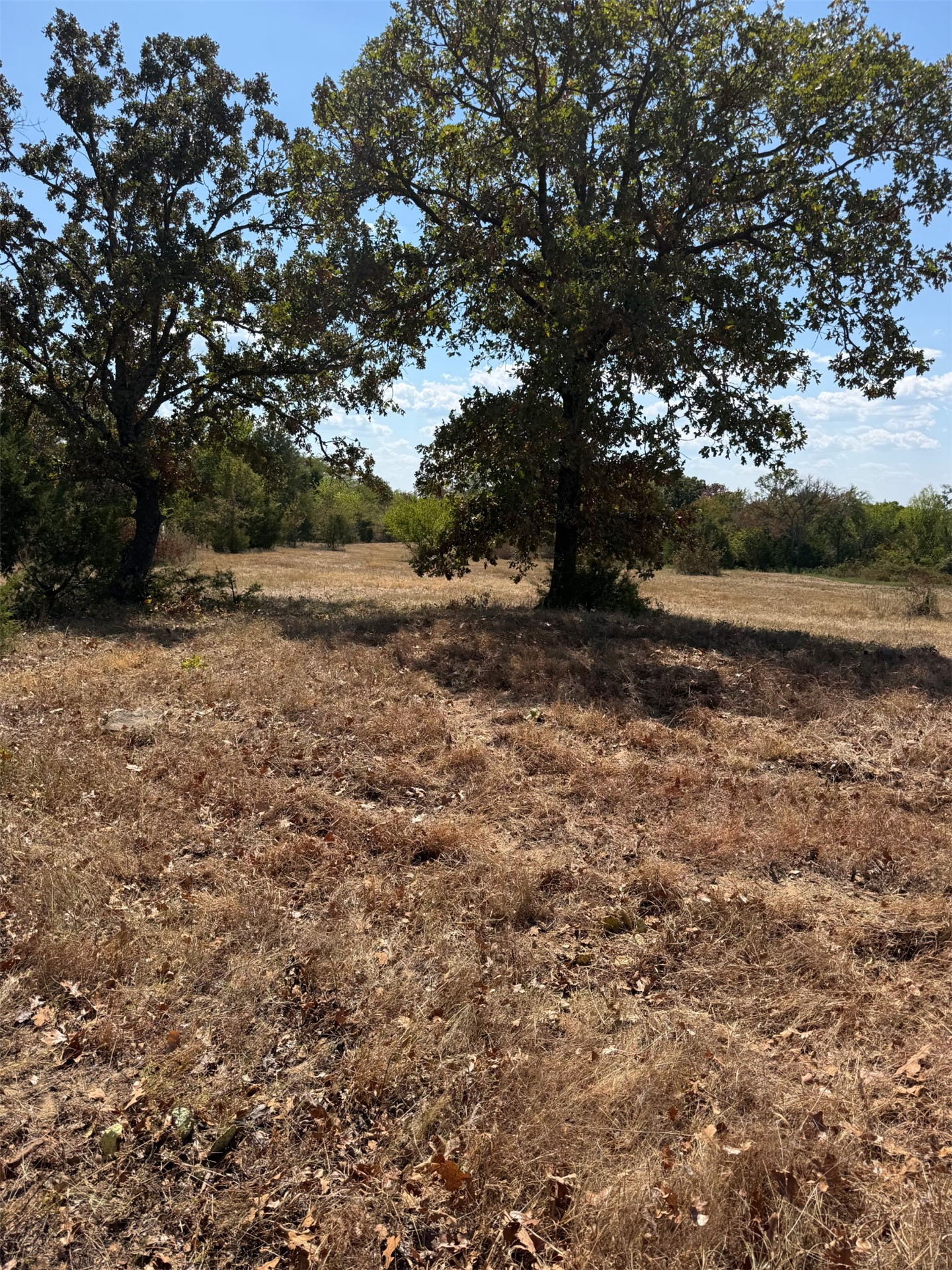 State Hwy 2 Highway Moyers OK 74557