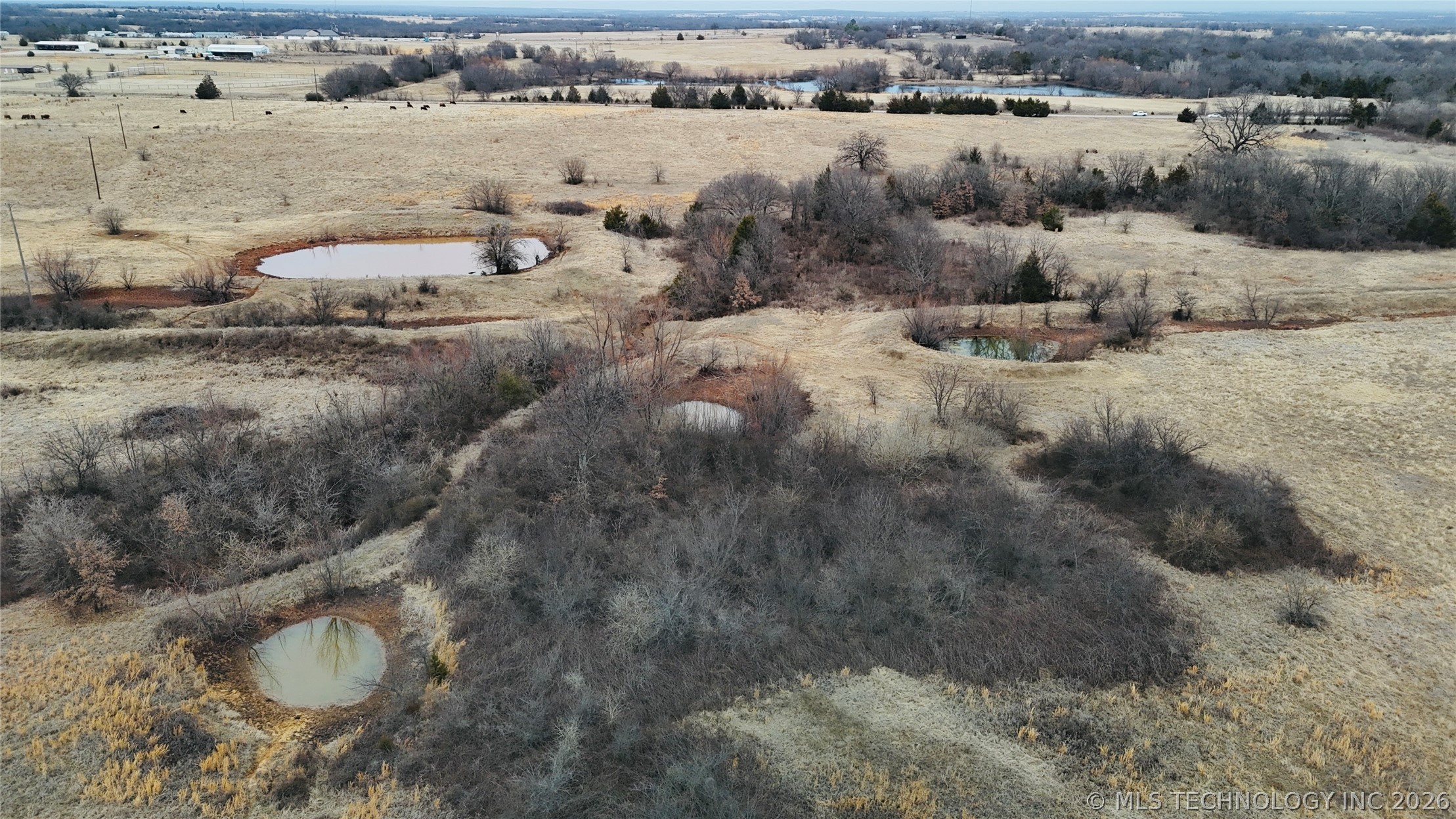1 Birch Wilson OK 73463