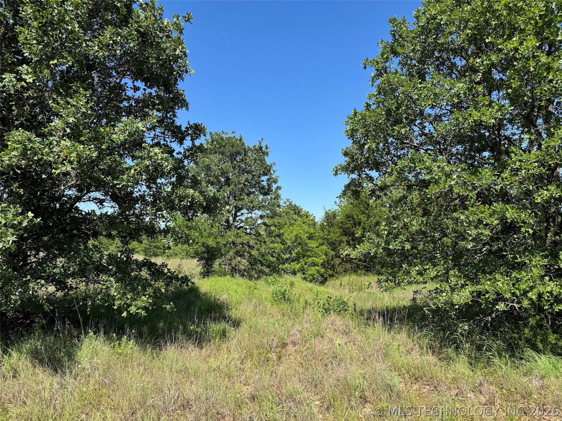 2670 Buck Horn Road Healdton OK 73438