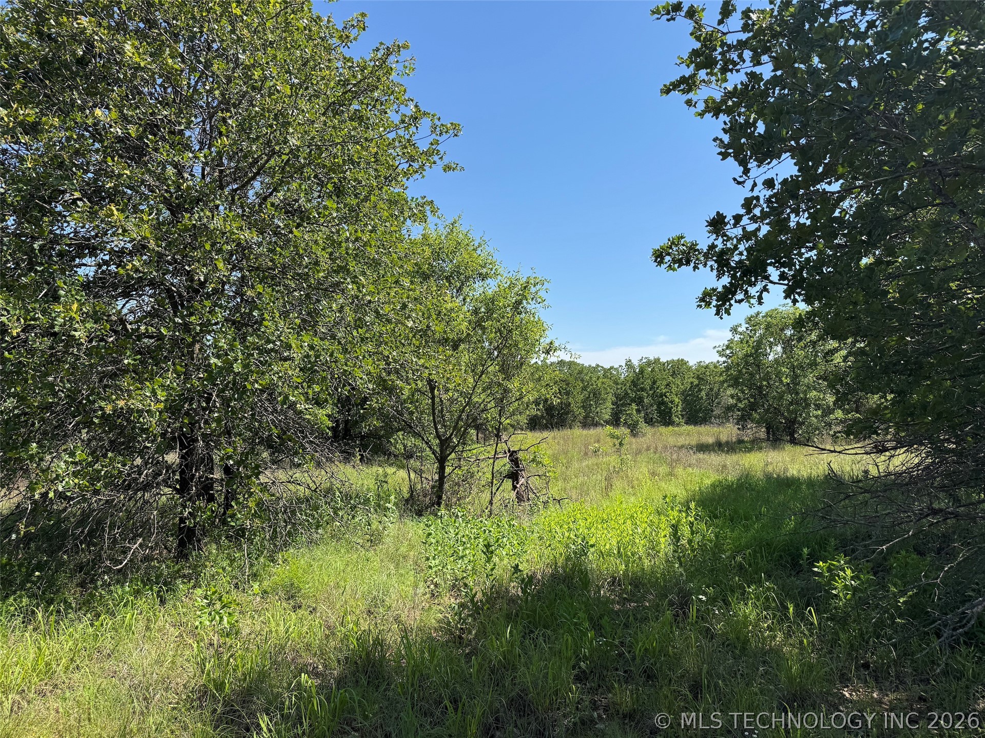 2670 Buck Horn Road Healdton OK 73438