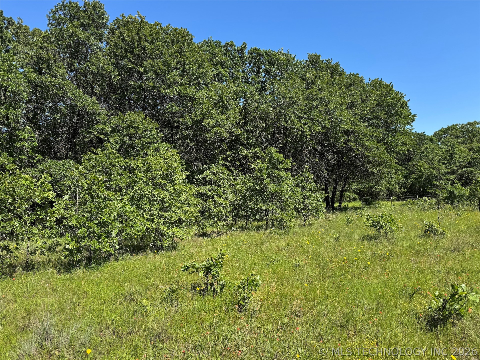 2670 Buck Horn Road Healdton OK 73438