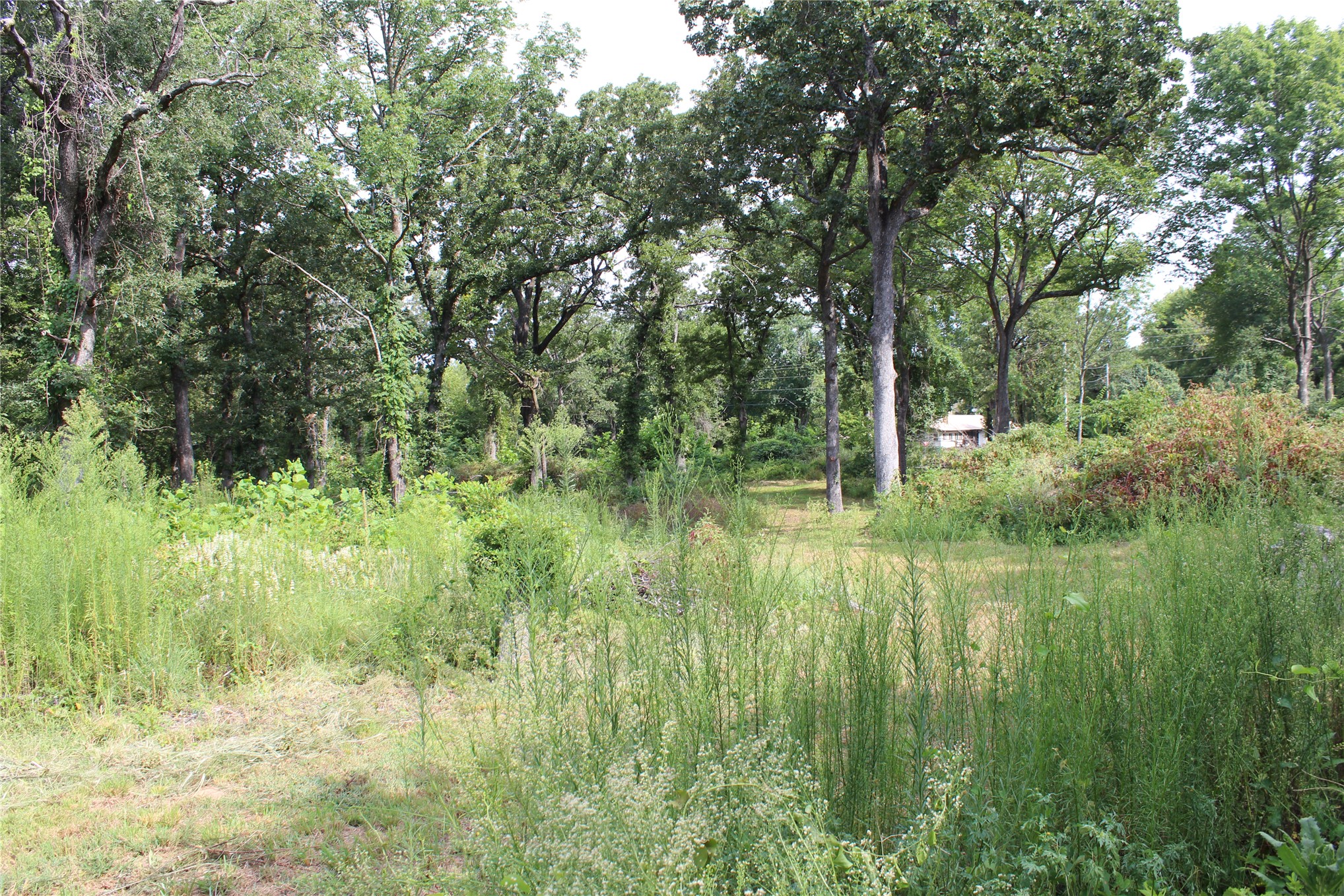 422806 E 1150 Eufaula OK 74432