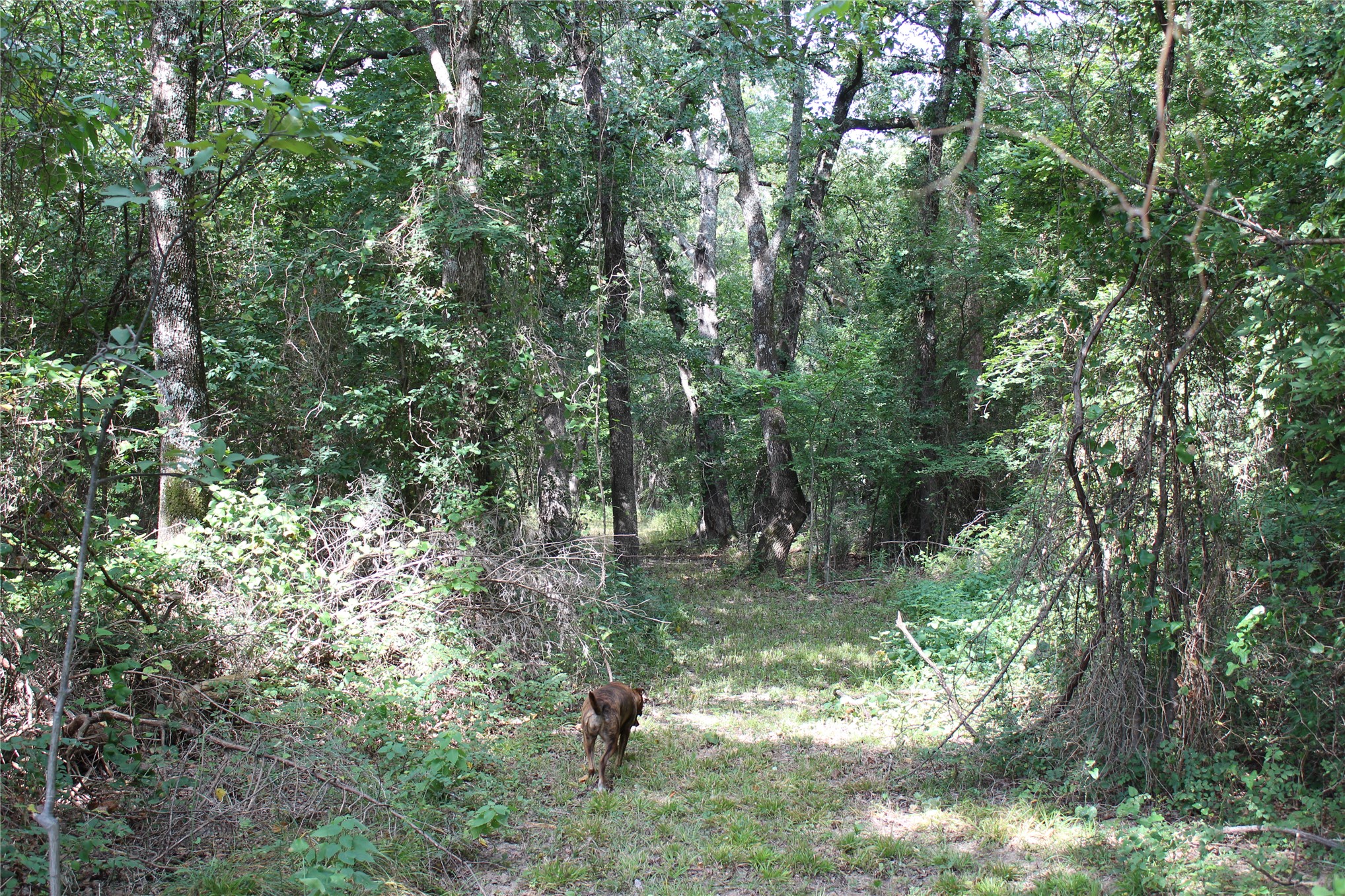 422806 E 1150 Eufaula OK 74432