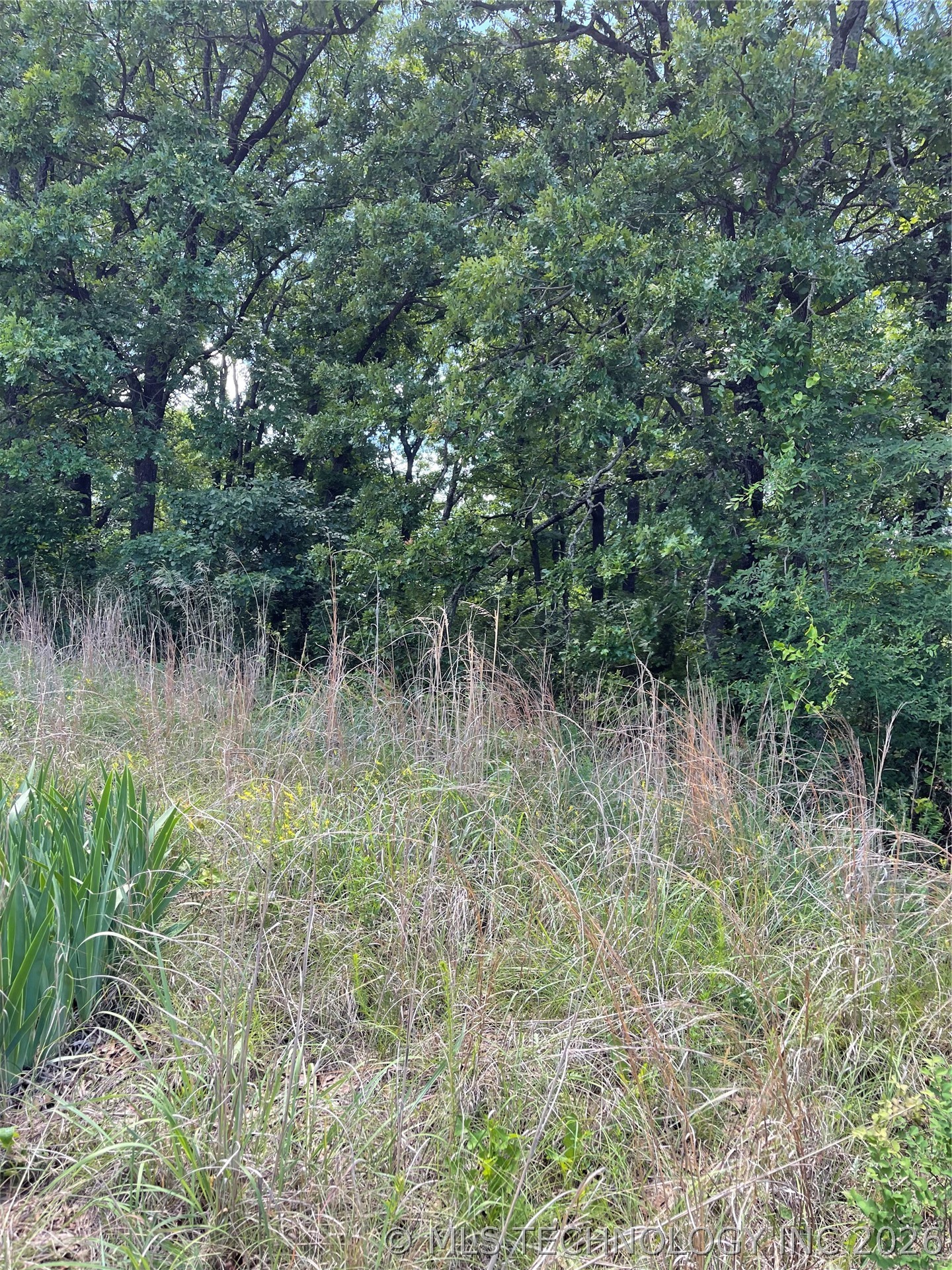 Lance Road Davis OK 73030