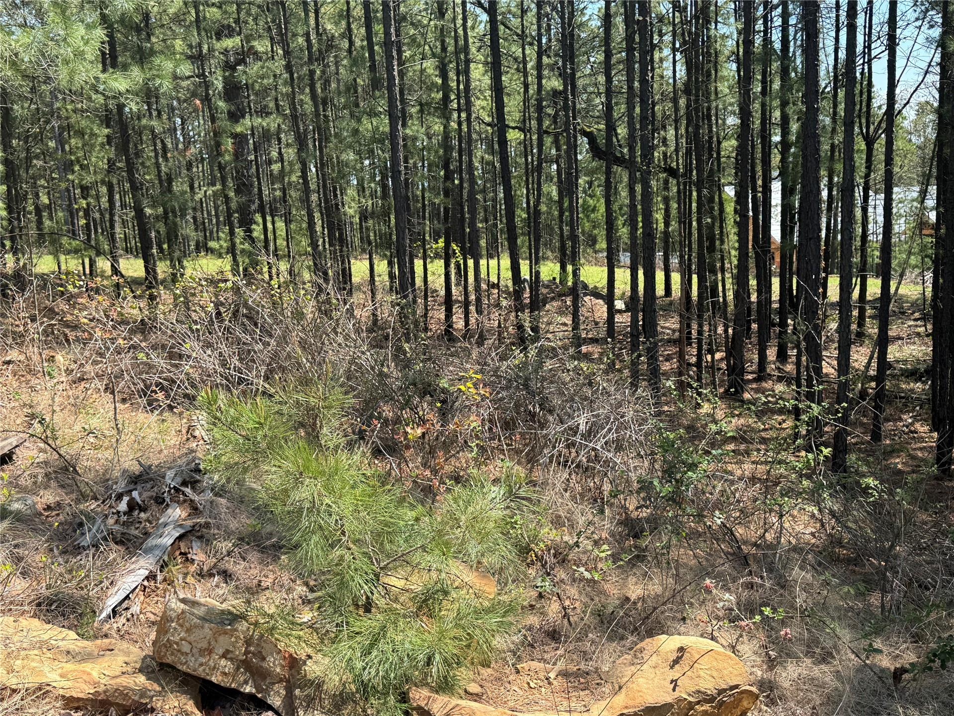 41 Timber Ridge Road Tuskahoma OK 74574