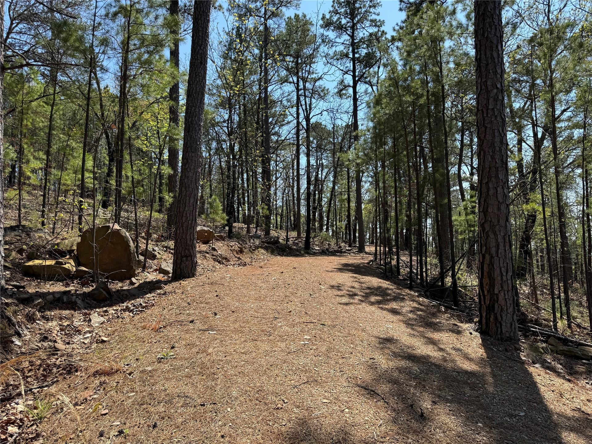 41 Timber Ridge Road Tuskahoma OK 74574