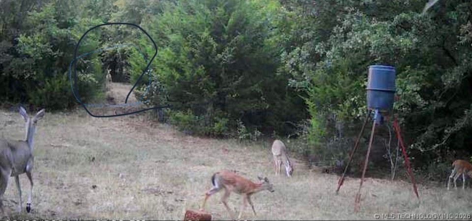 County Road 3430 Stratford OK 74872