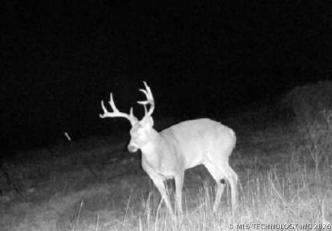 County Road 3430 Stratford OK 74872