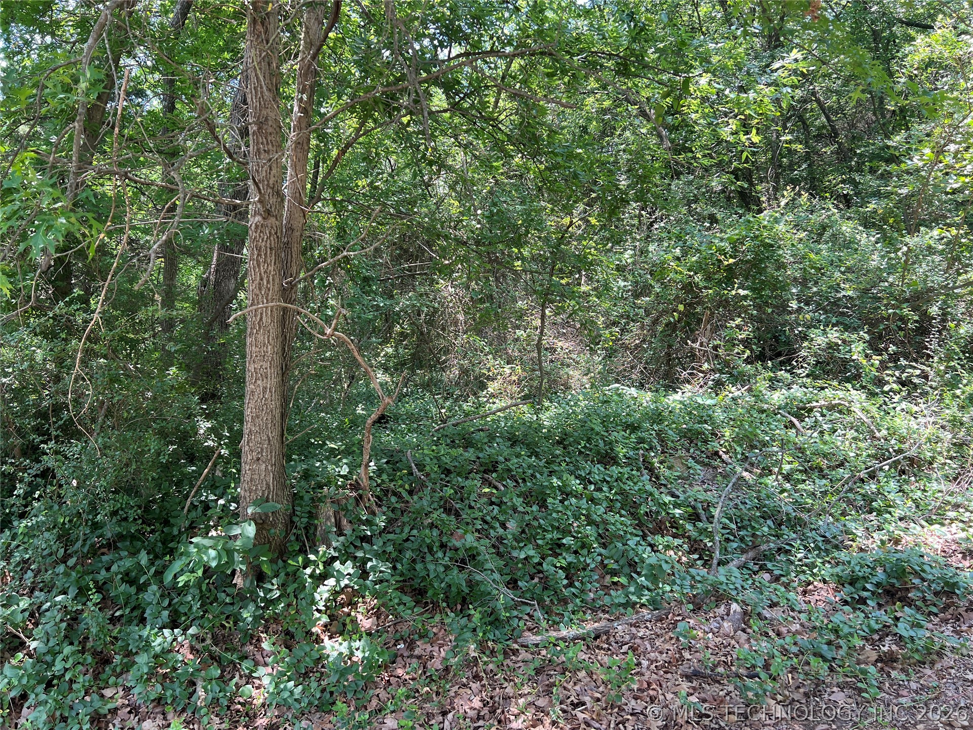 4 Border Street Eufaula OK 74432
