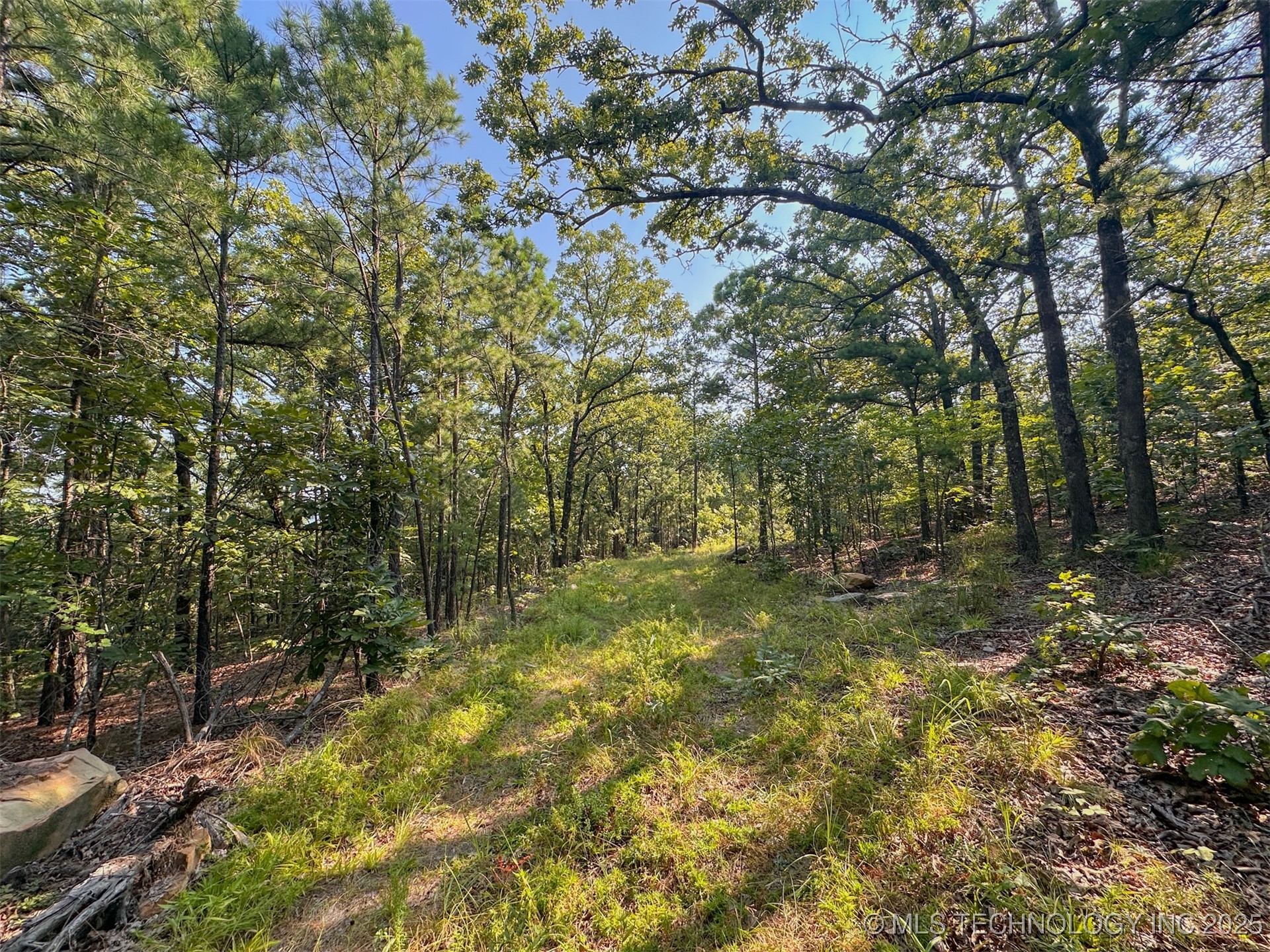 9 Moonshine Drive Clayton OK 74536