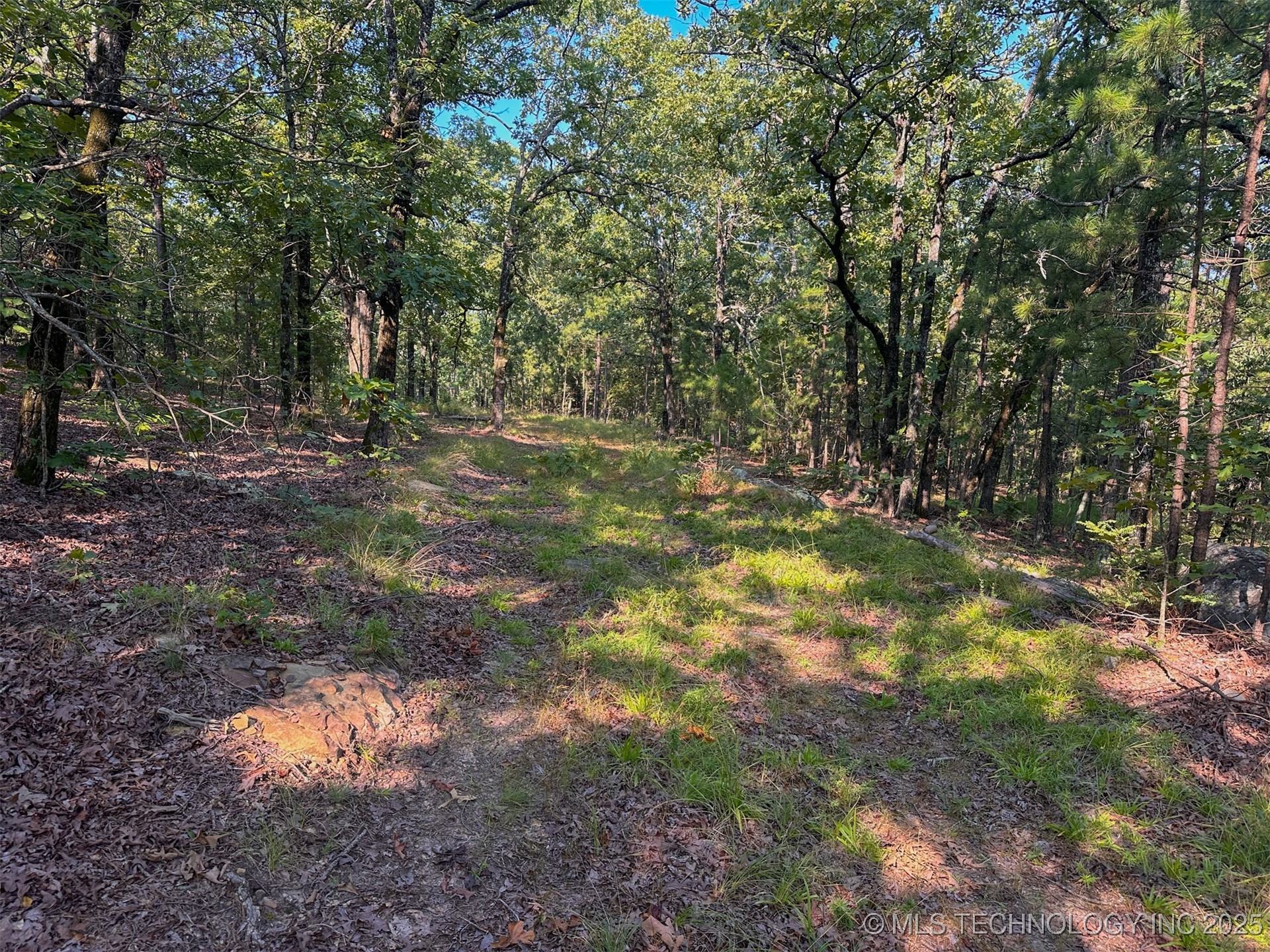 9 Moonshine Drive Clayton OK 74536