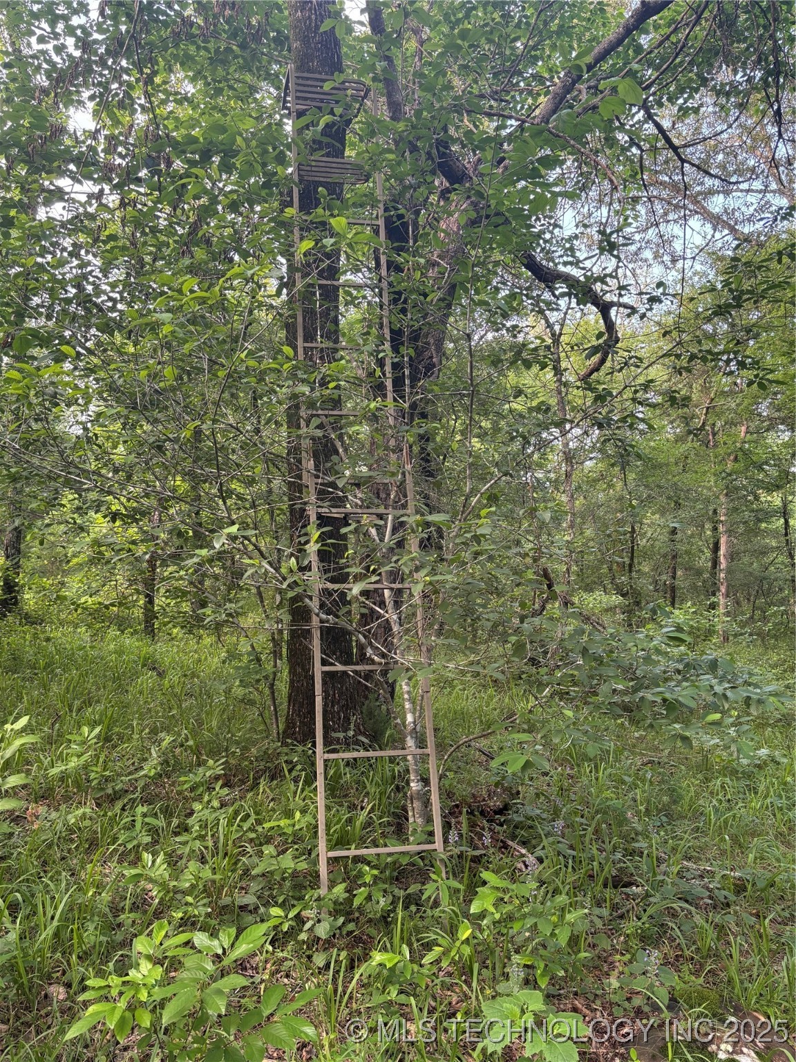 25 Tram Trail Rattan OK 74562
