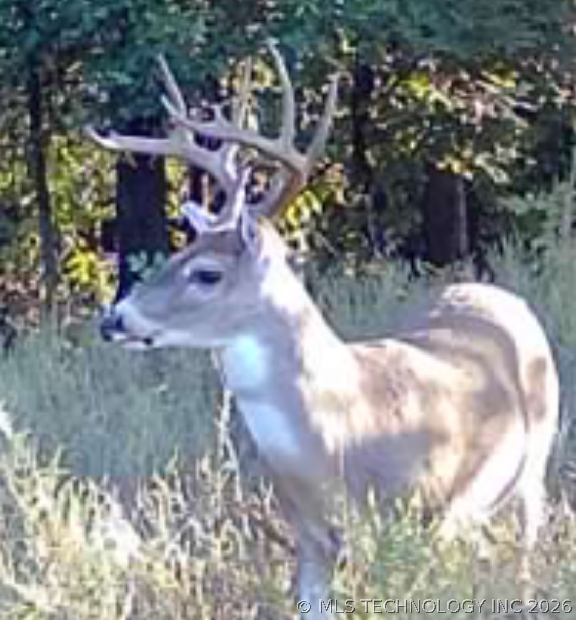 W 33rd Street S Haskell OK 74436
