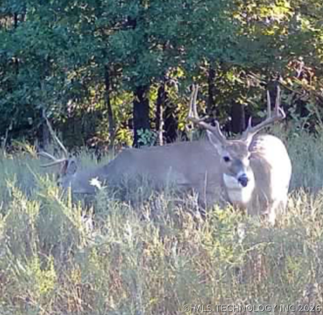 W 33rd Street S Haskell OK 74436