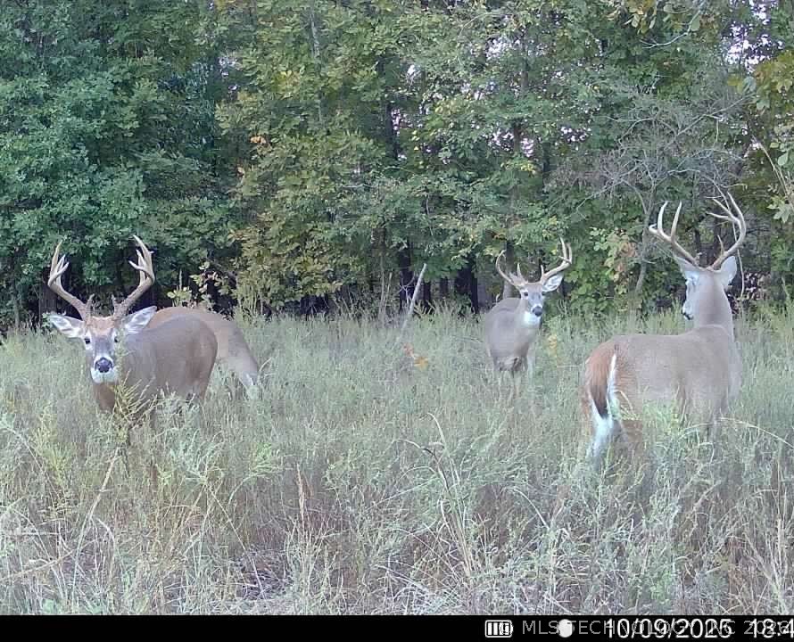 W 33rd Street S Haskell OK 74436