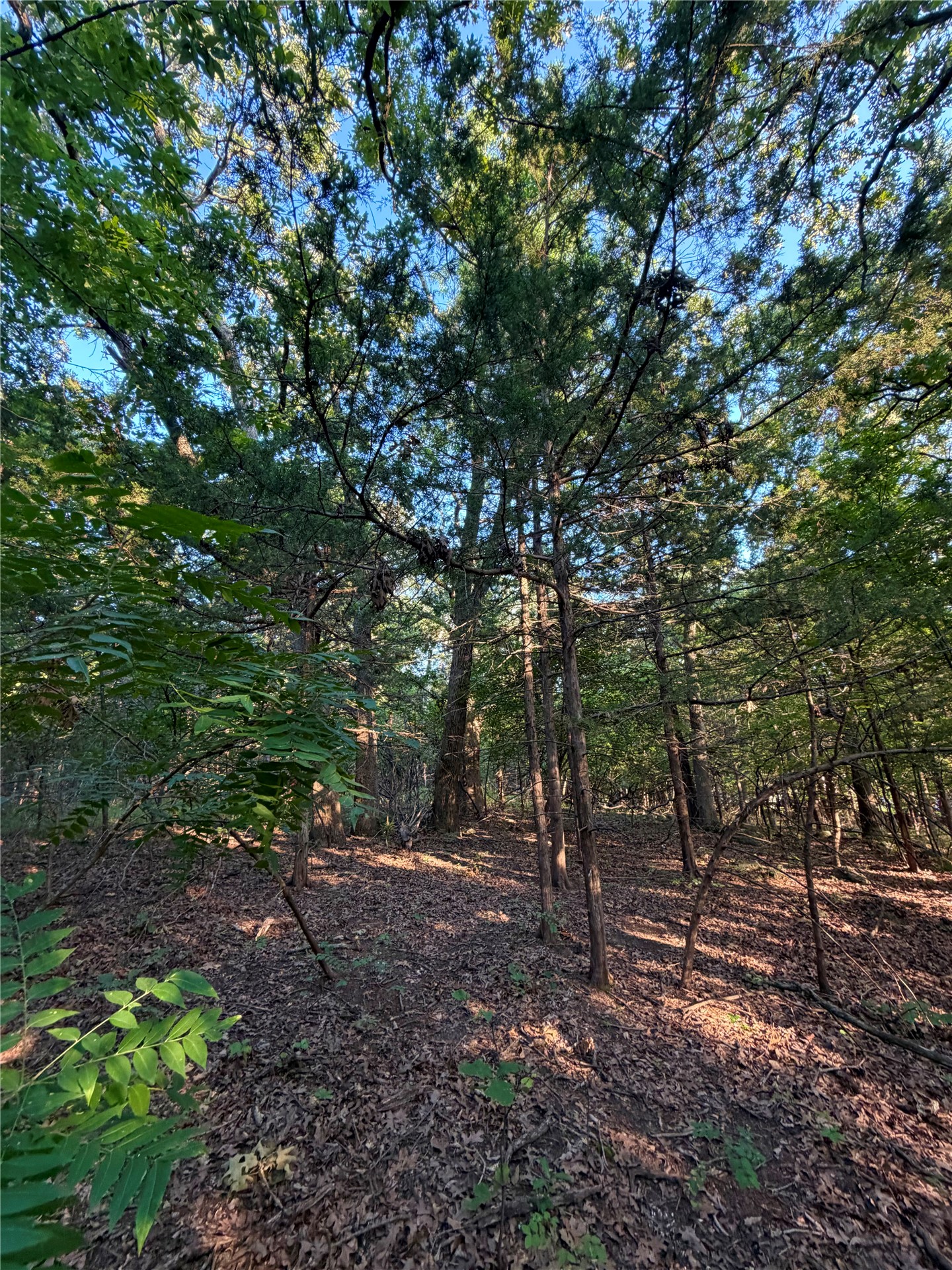 735 S Keystone Terrace Cleveland OK 74020