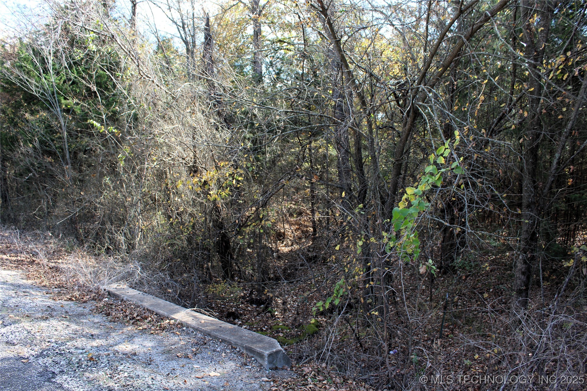 Red Lake Road Albany OK 74726