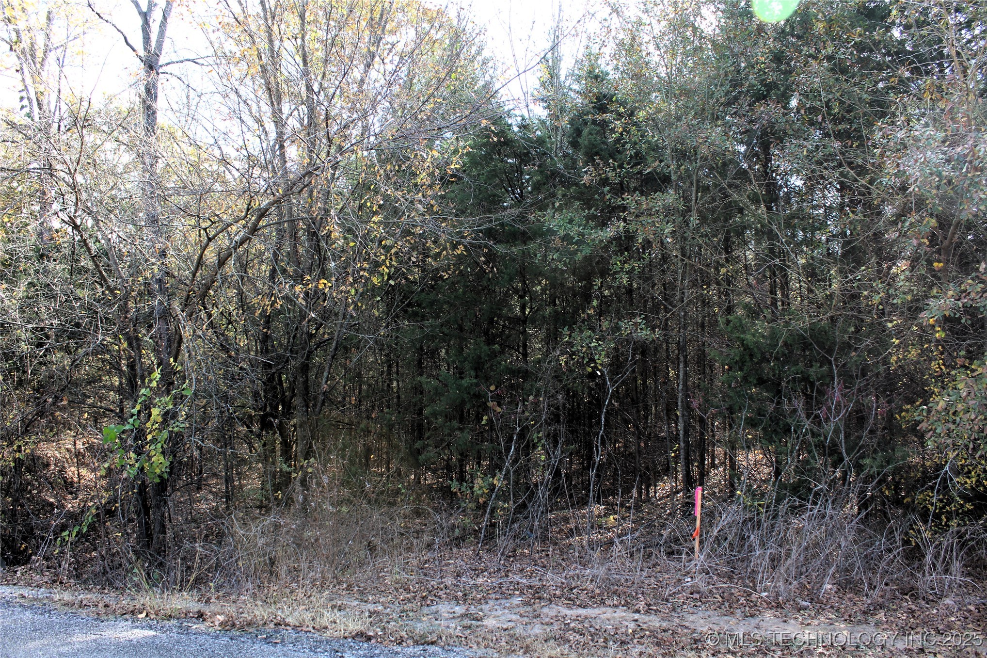 Red Lake Road Albany OK 74726