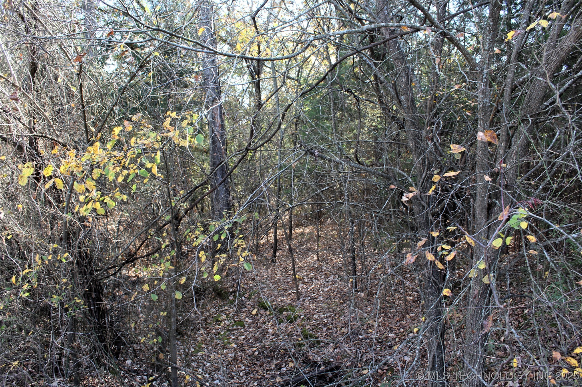Red Lake Road Albany OK 74726