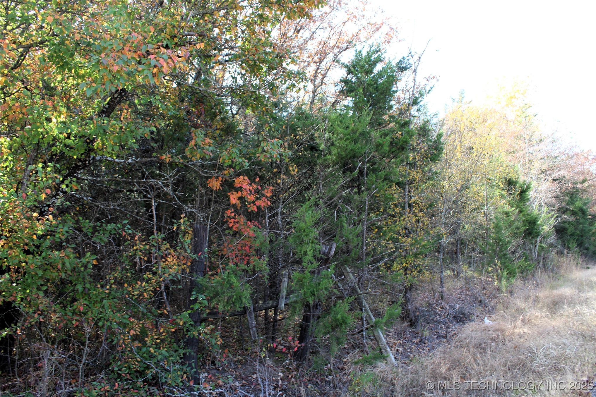 Red Lake Road Albany OK 74726