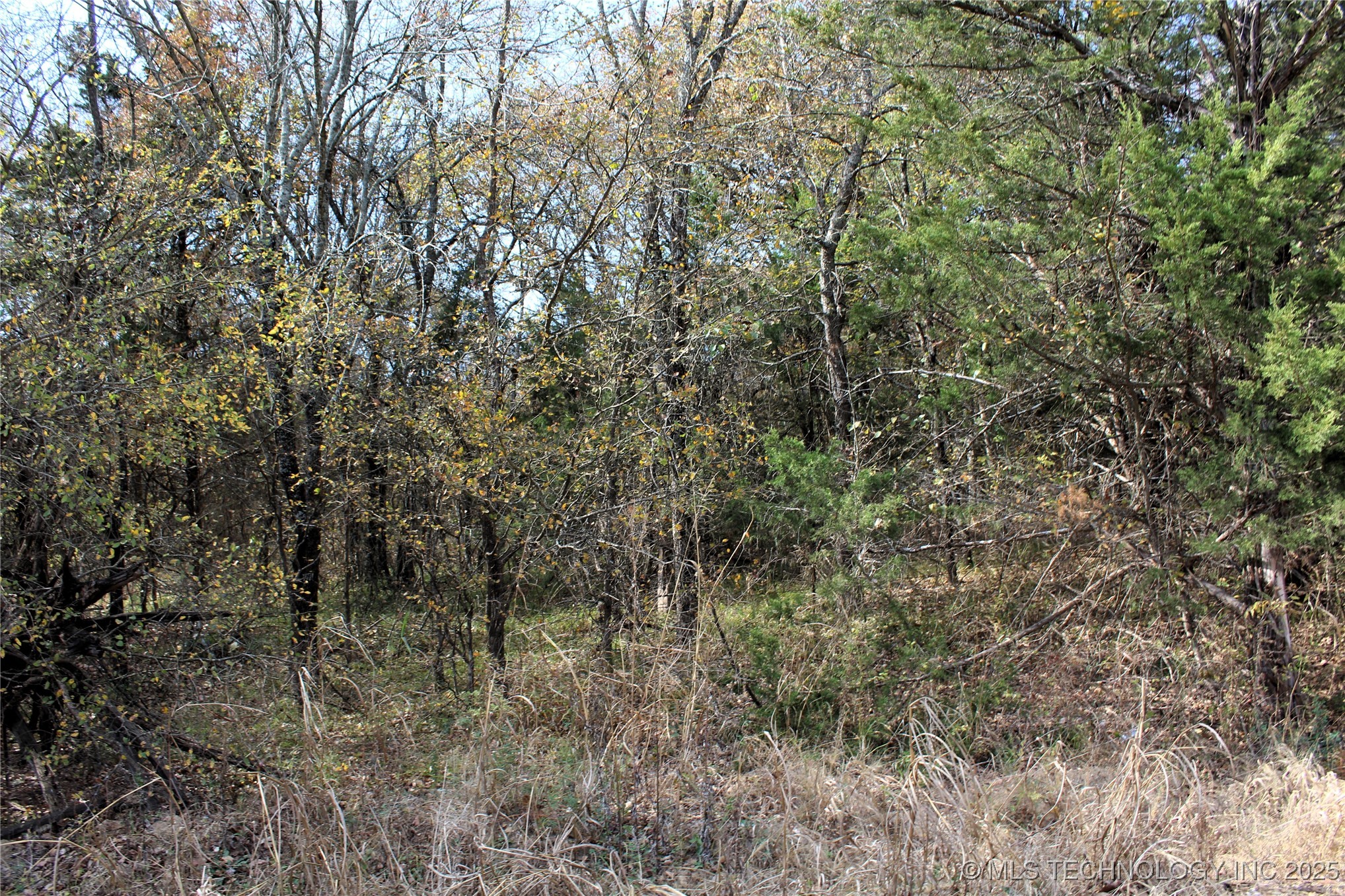 Red Lake Road Albany OK 74726
