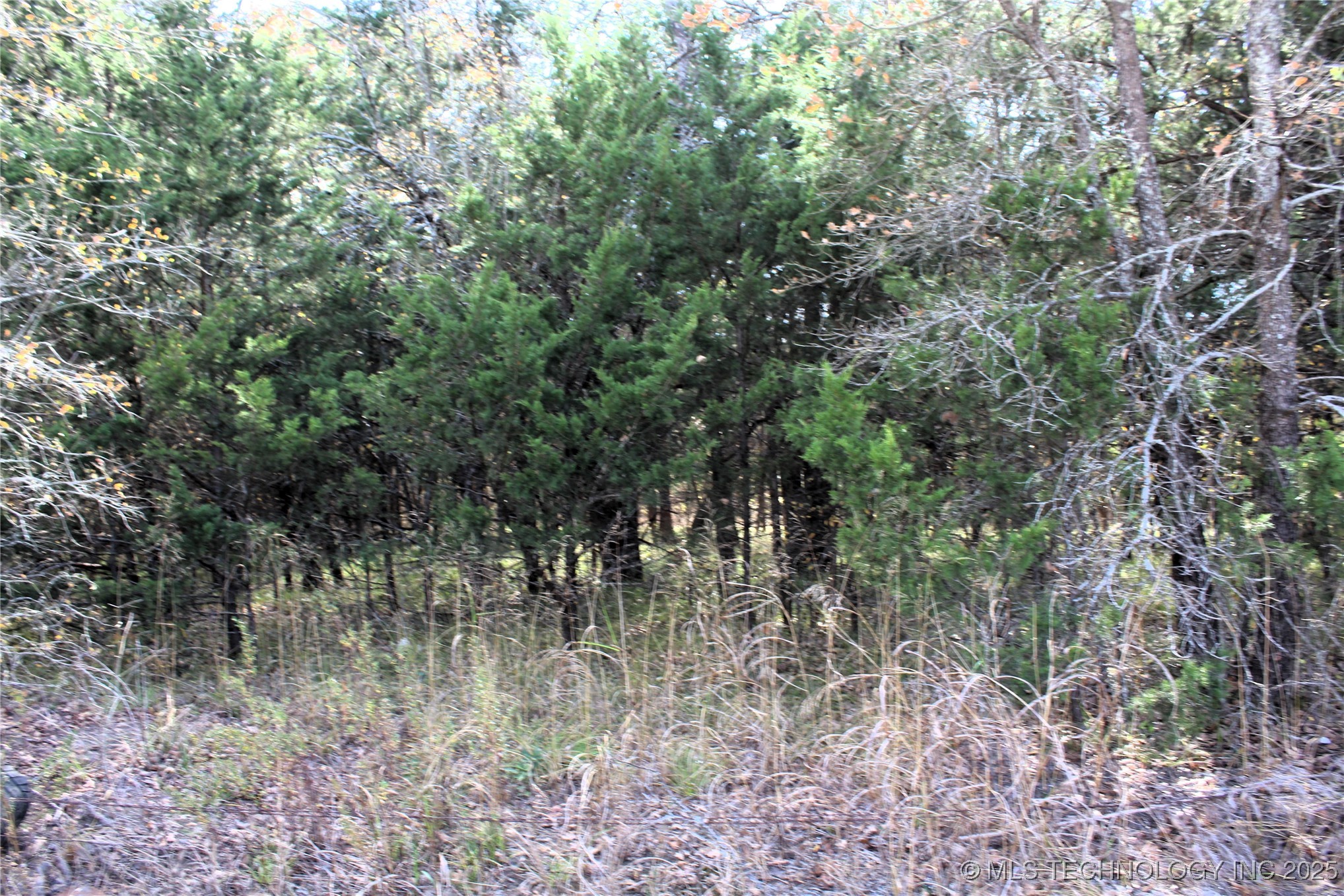 Red Lake Road Albany OK 74726