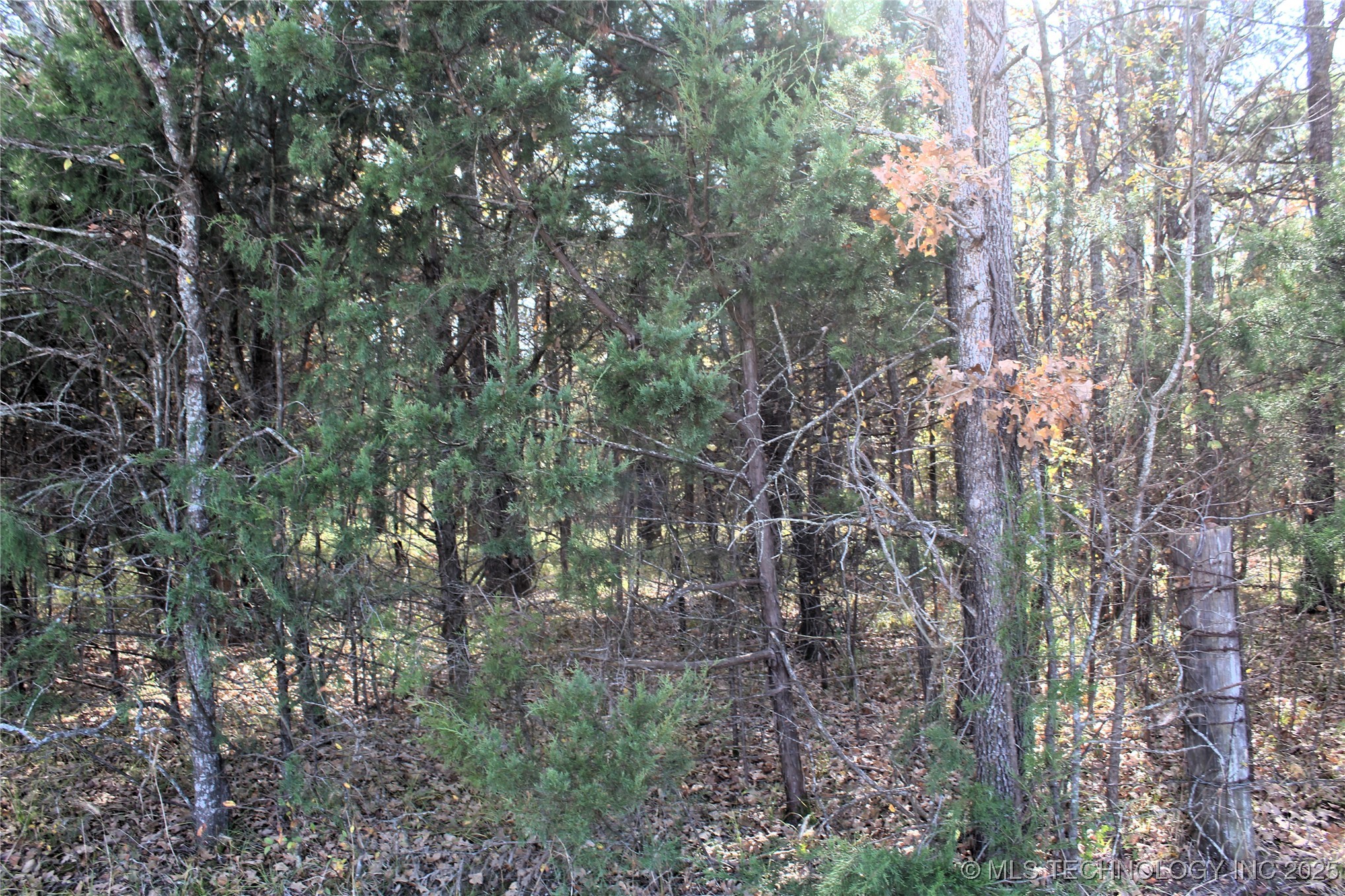 Red Lake Road Albany OK 74726