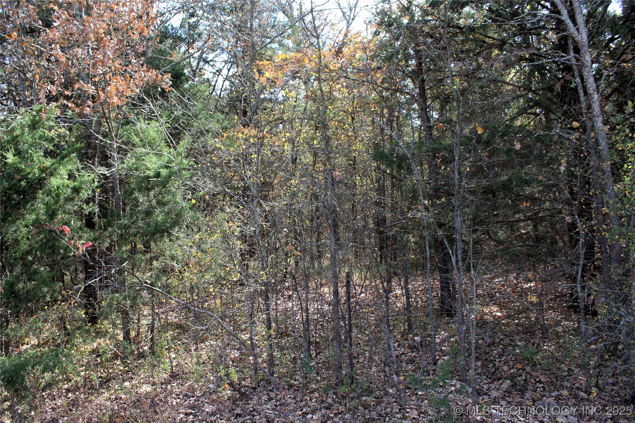 Red Lake Road Albany OK 74726