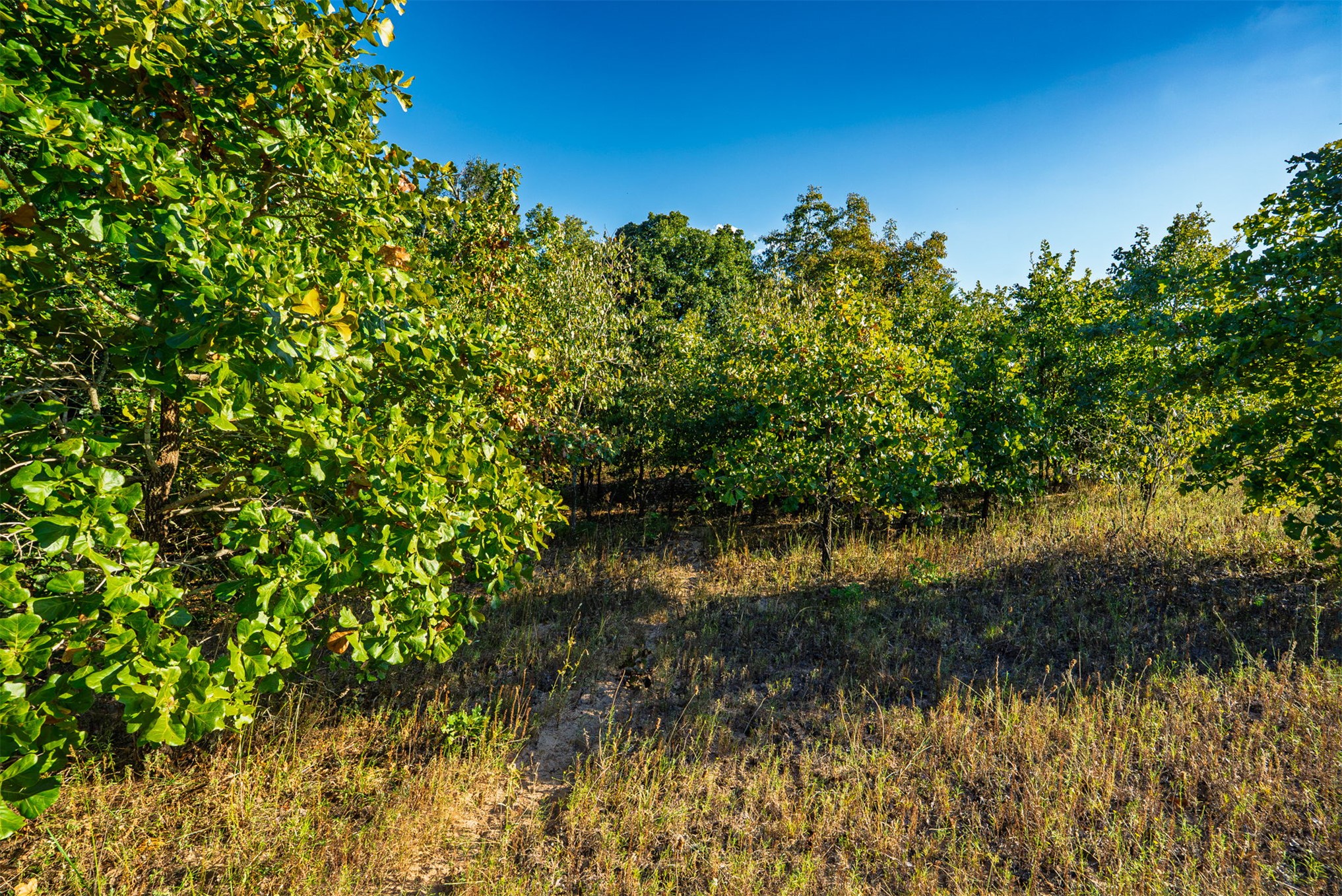 33 N 4256 Road Checotah OK 74426