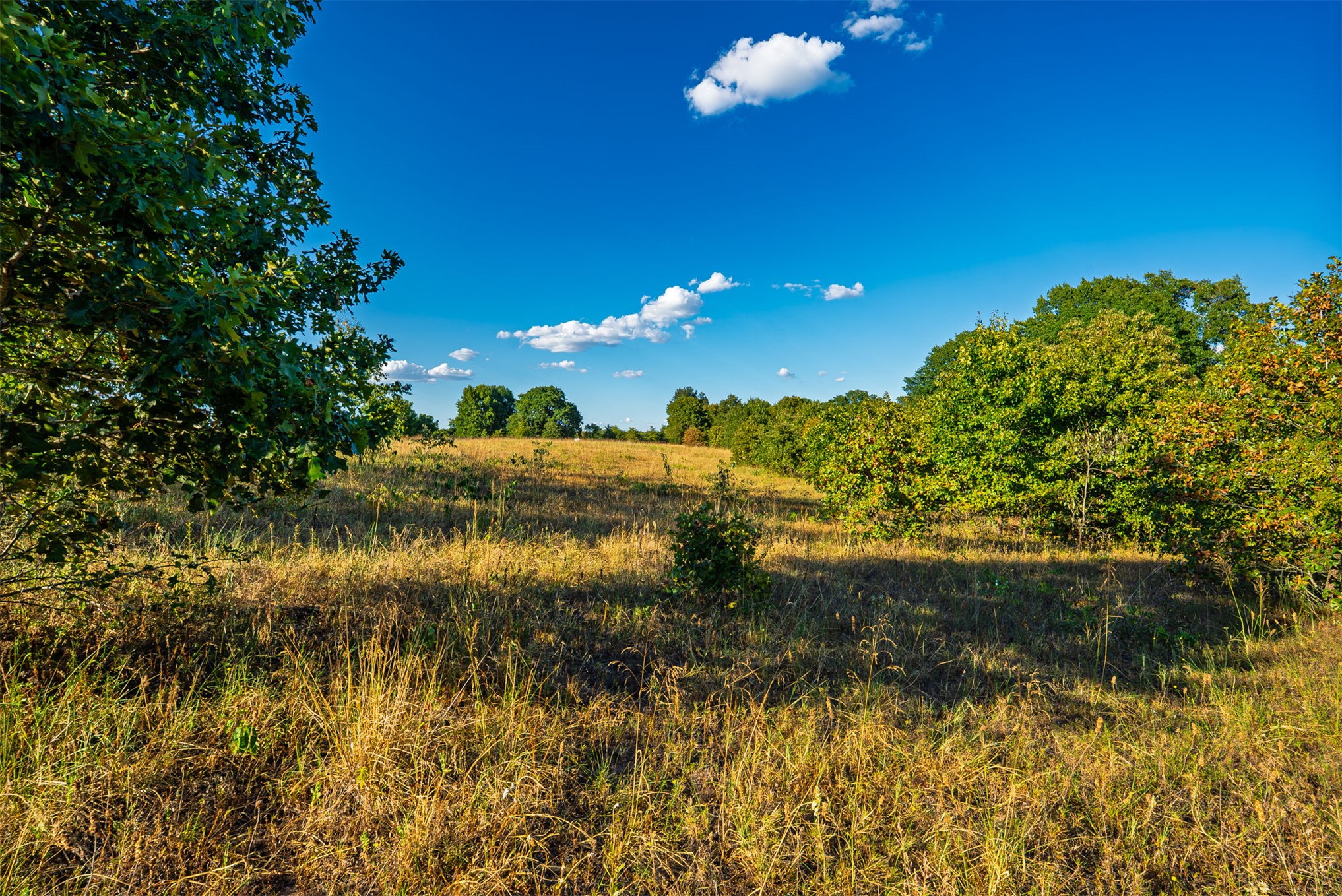 33 N 4256 Road Checotah OK 74426