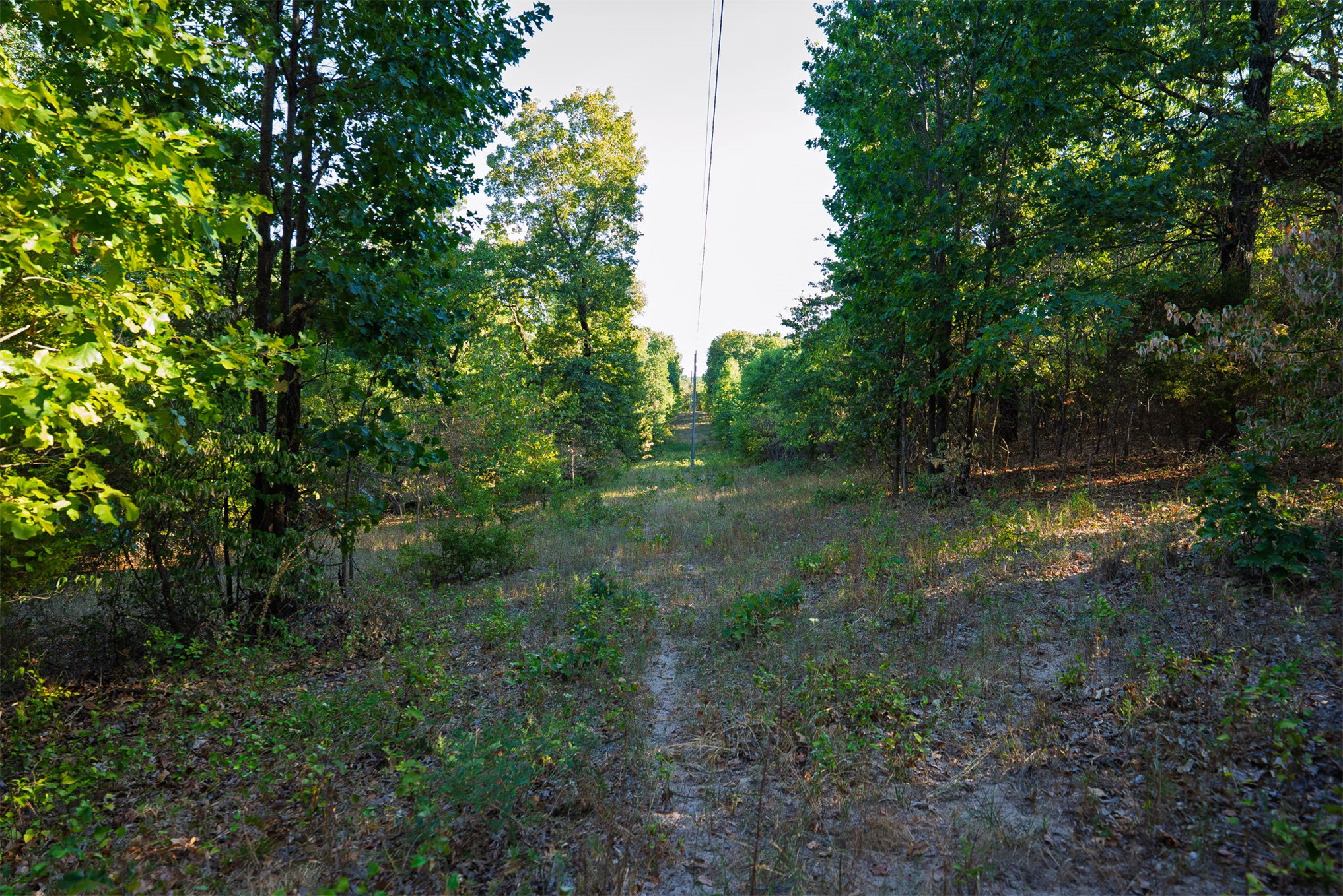 33 N 4256 Road Checotah OK 74426